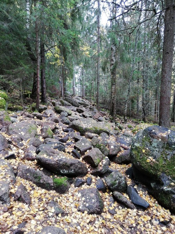 fox-path-skuleberget-hoga-kusten-stigen-trail-running-hiking.jpg