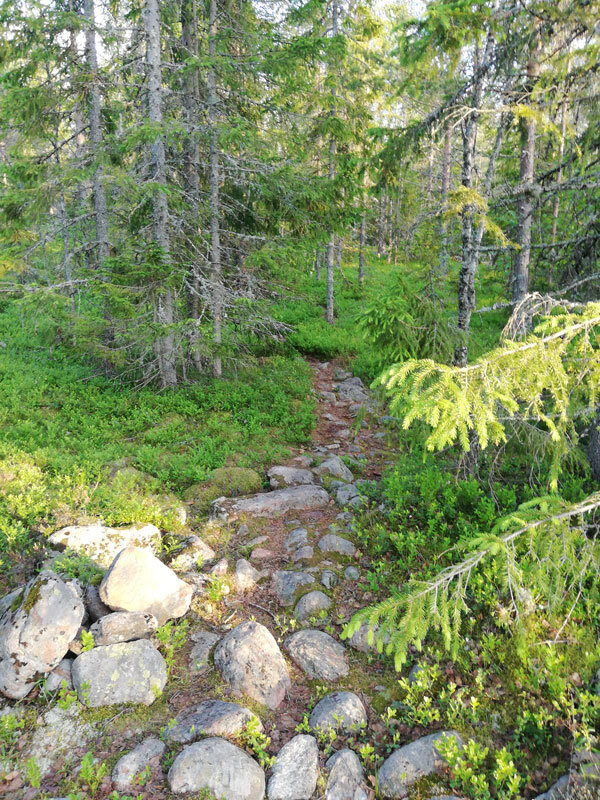 wild-grounding-hoga-kusten-sweden-docksta-single-track-path-stones-wood.jpg