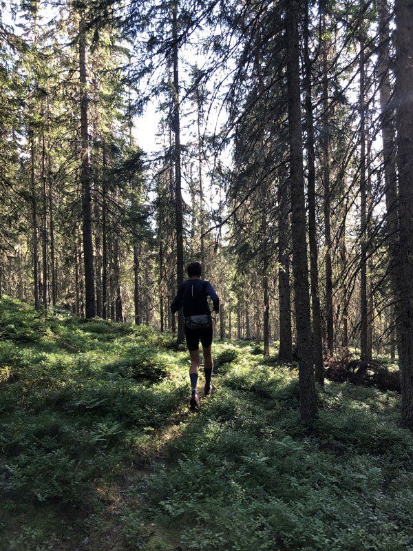 trailrunning-wild-forest-hoga-kusten-high-coast-runner-outdoor-training.jpg