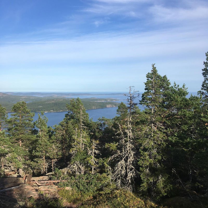 vardkallberget-panoramic-hiking-hoga-kusten.jpg