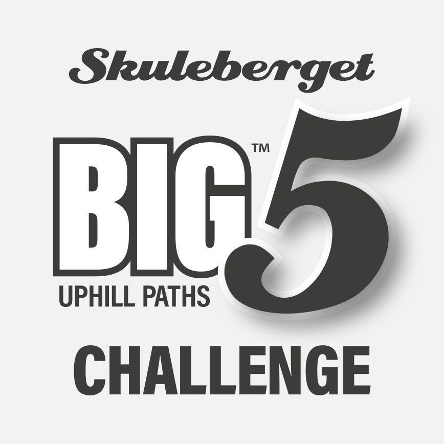 skuleberget-big5-uphills-challenge-trailrunnin-hoga-kusten.jpg
