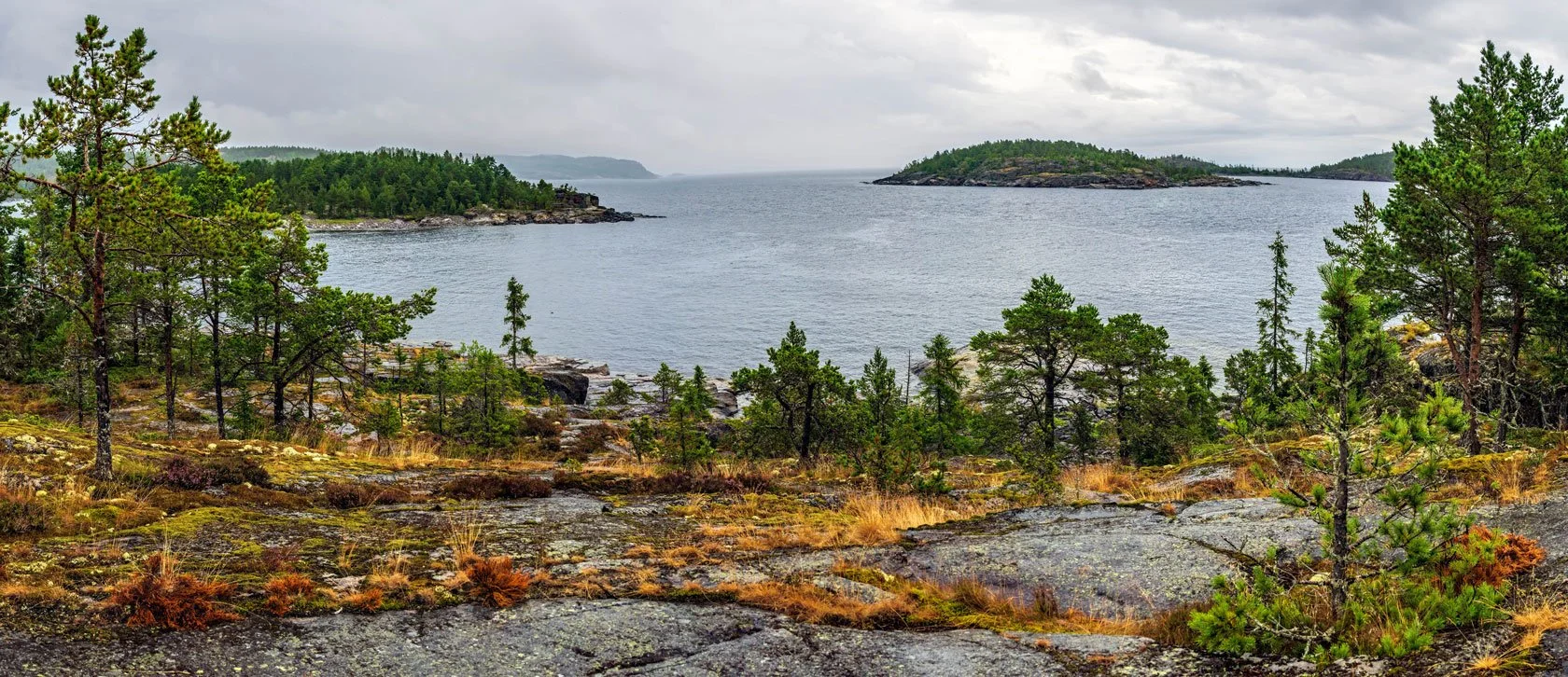 Start Here: High Coast (Höga Kusten) Day Trips from Docksta