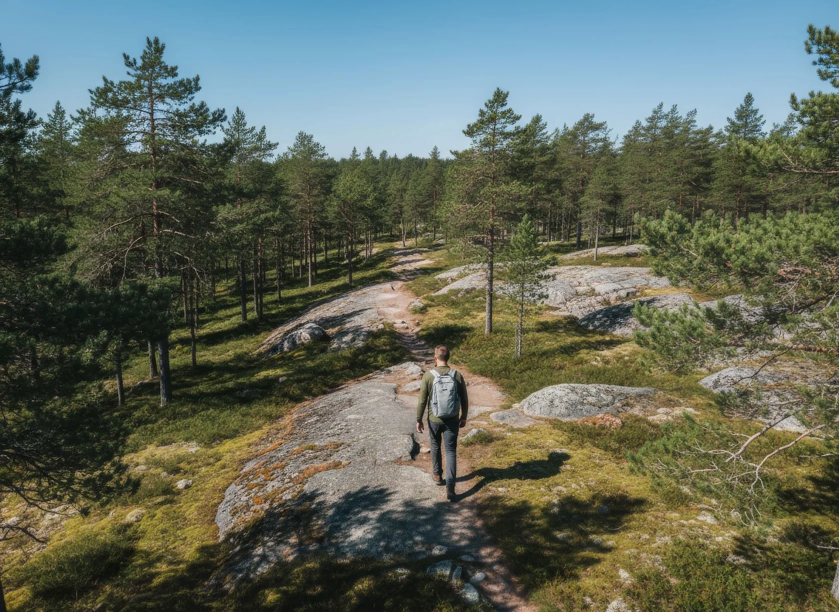 Solo Travel in Sweden: A Quiet High Coast Base Camp for First-Timers
