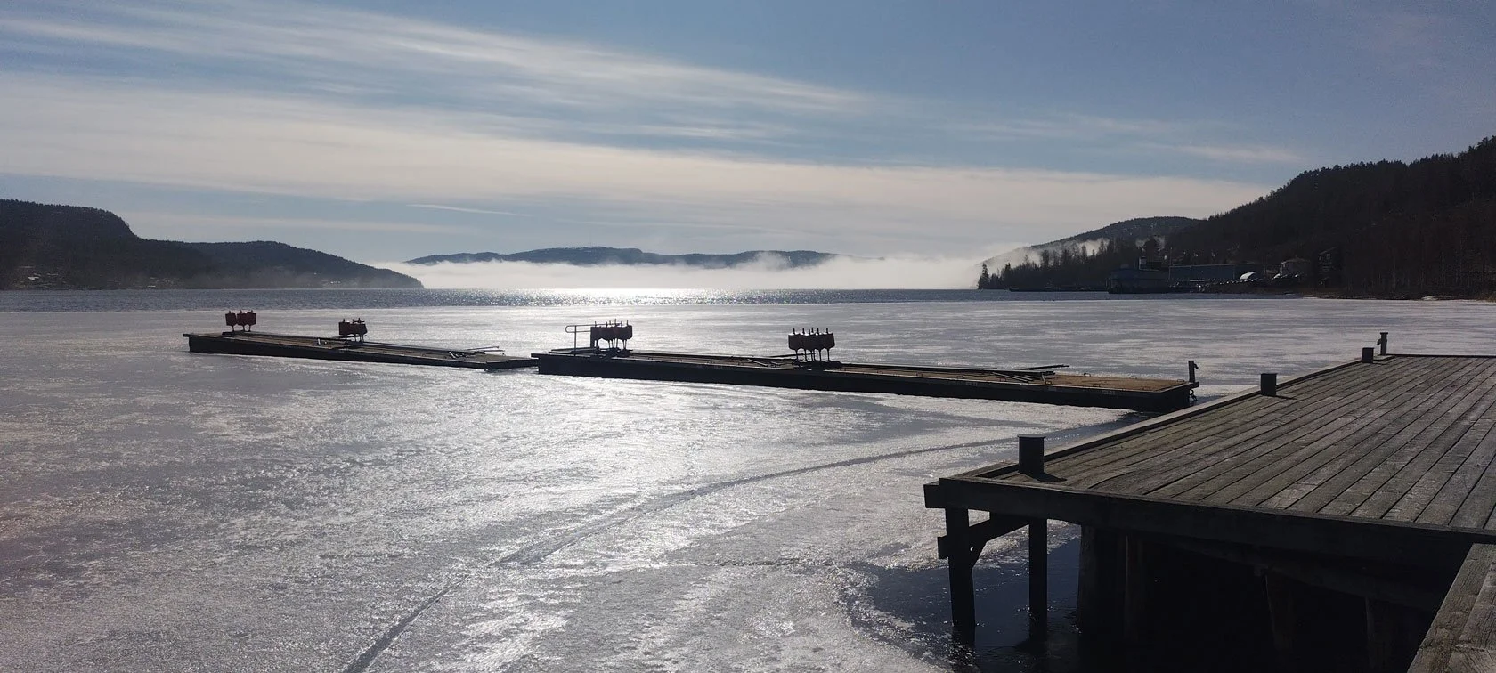 When the Sea Unfroze: High Coast Break‑Up Season (and an Unexpected Guest)