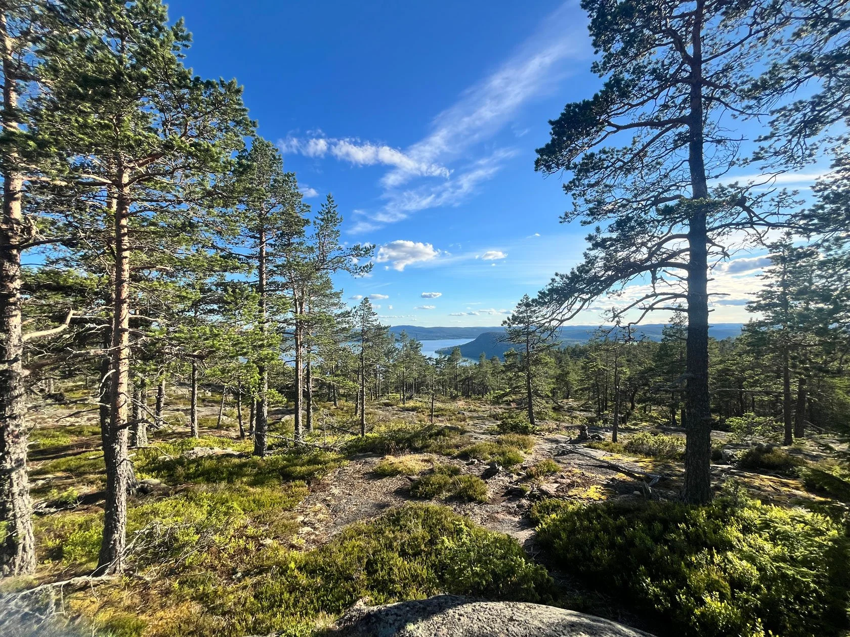First Skogspaus Airbnb Experience: From New York to a Rocky Pine Forest in the High Coast