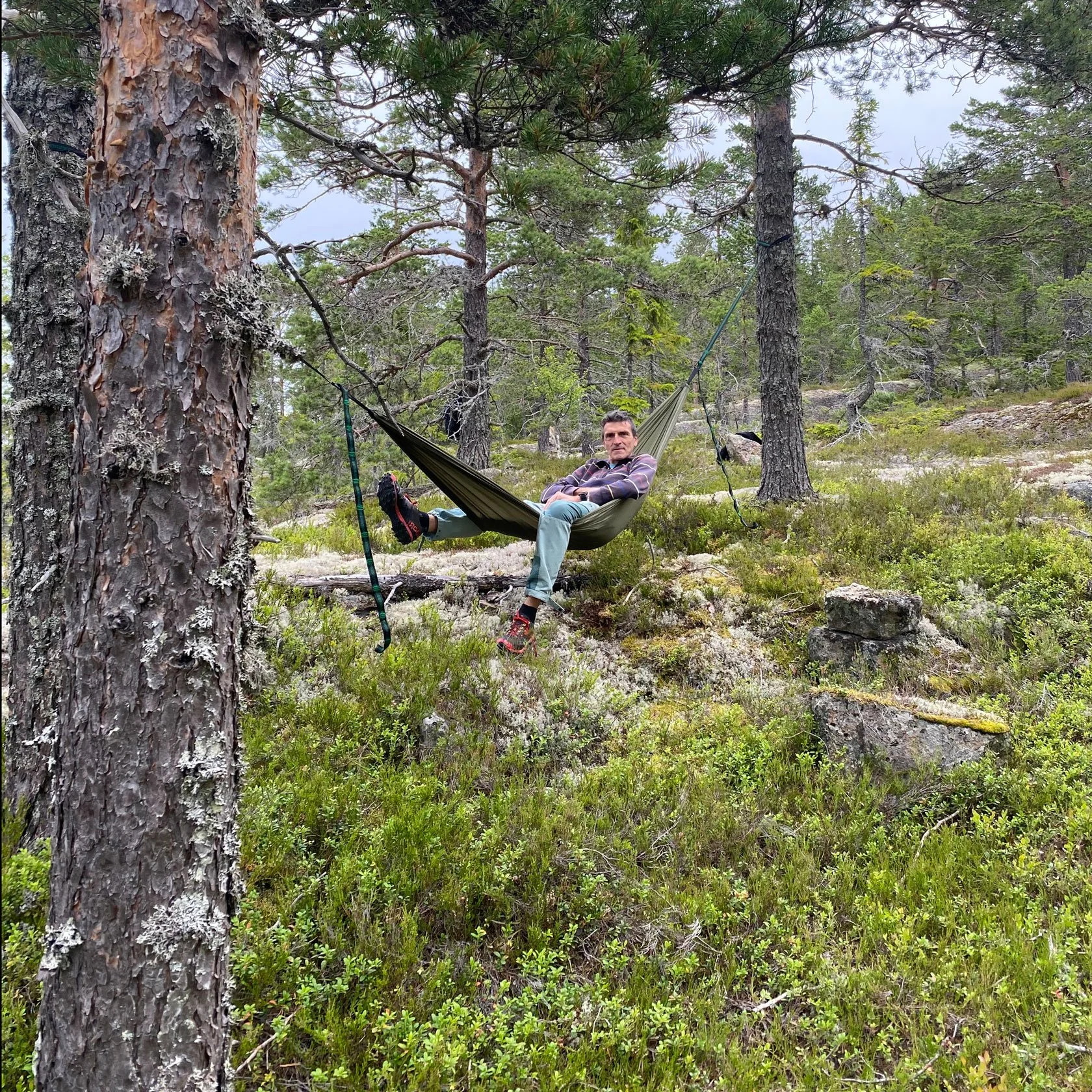 After Skogspaus: when the forest answers back