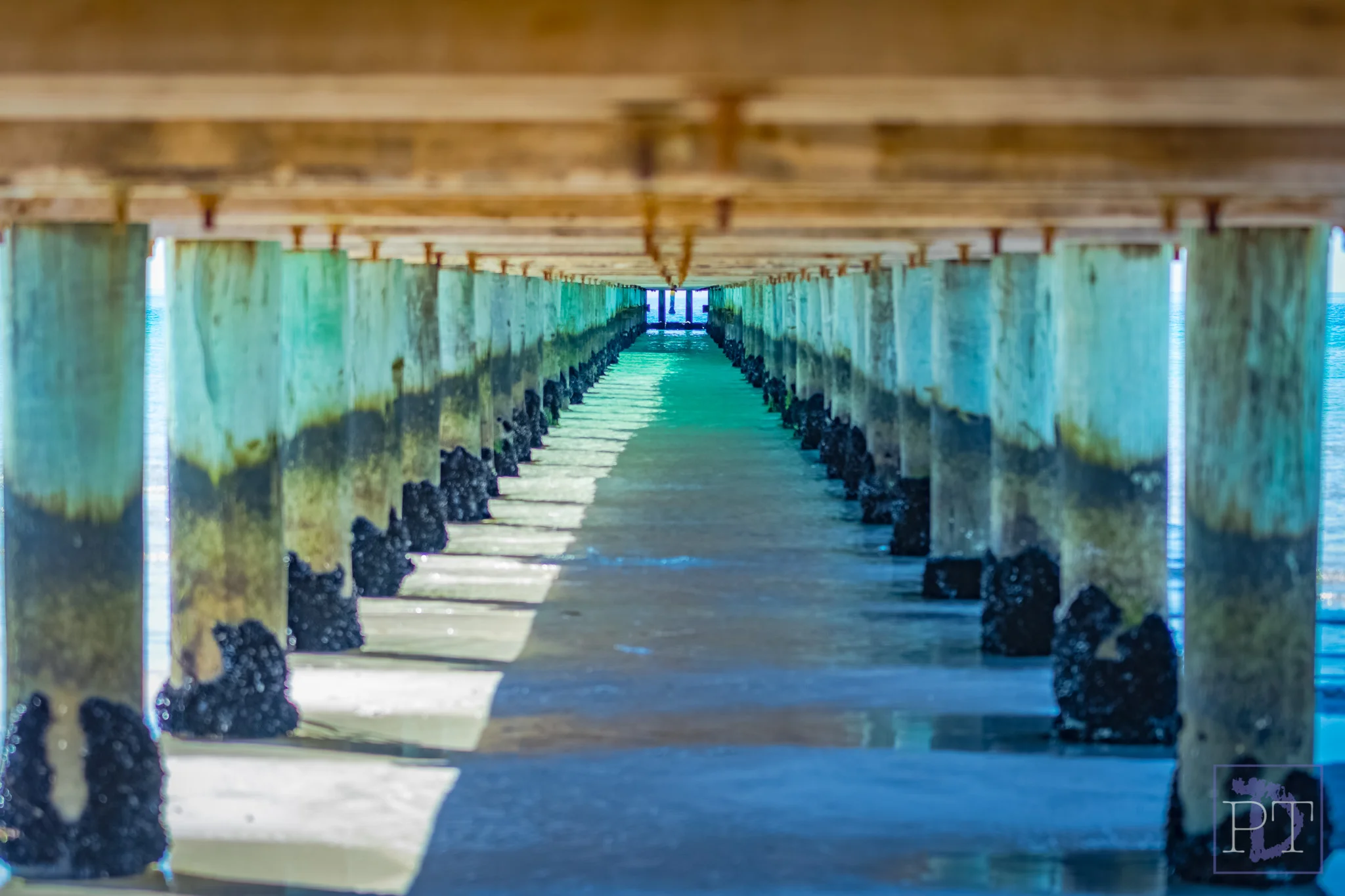 Rosebud Pier, Mornington Peninsula, Victoria.