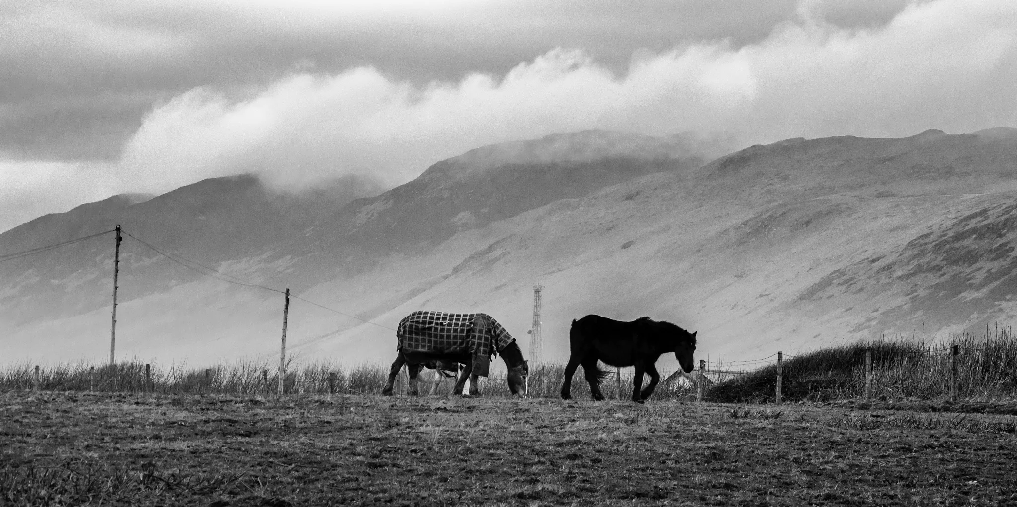In the Shadow of Black Combe