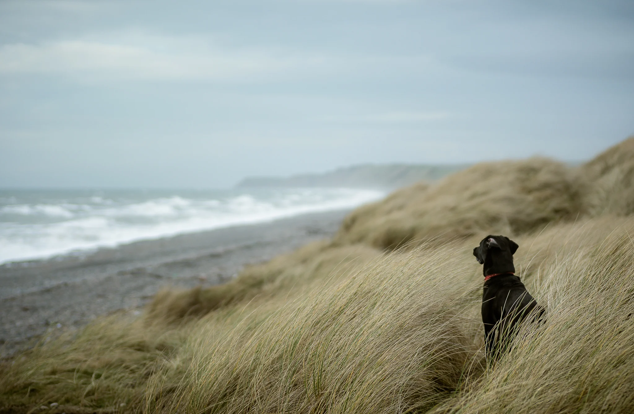 Surveying the Beach