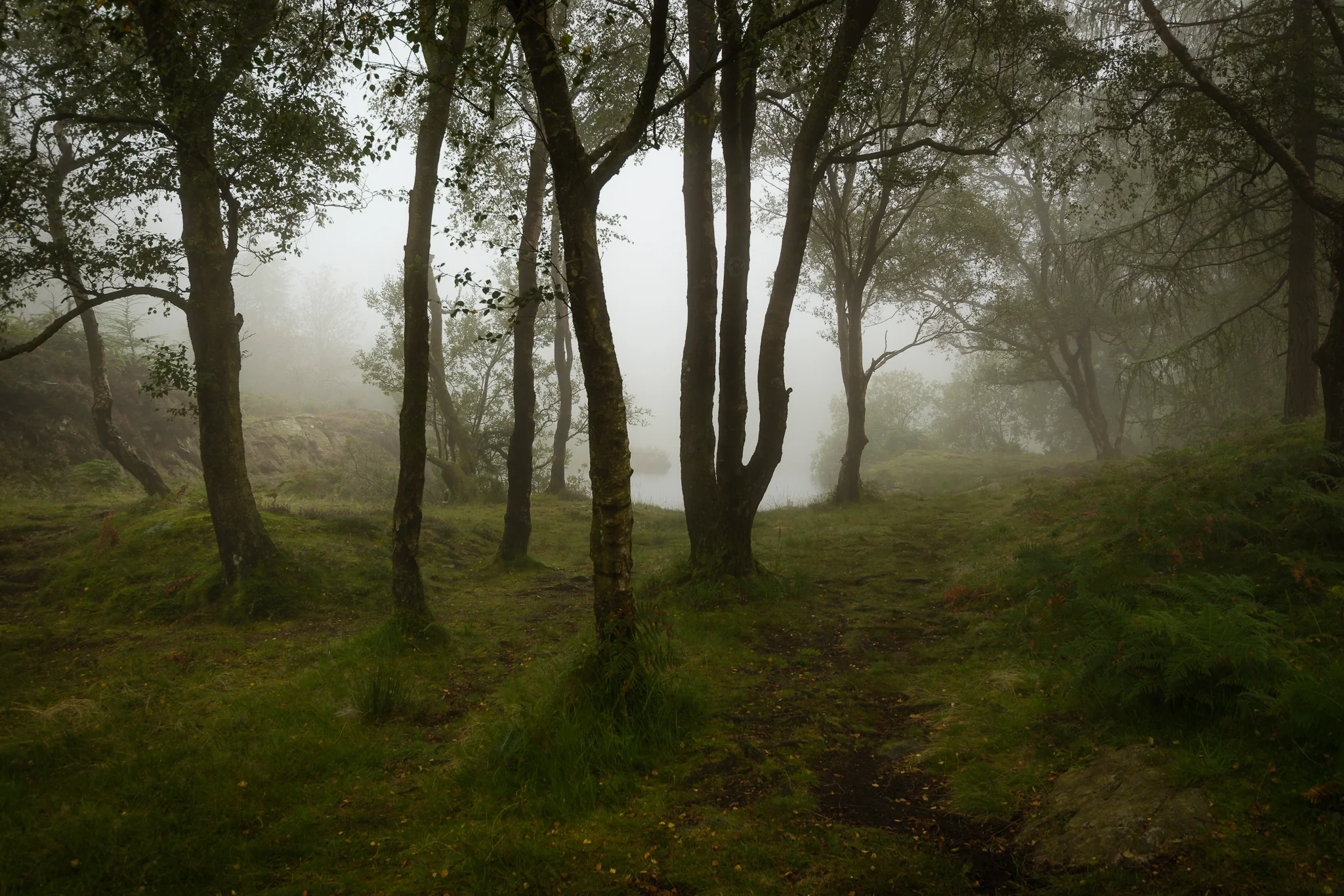Guardians of Holme Fell