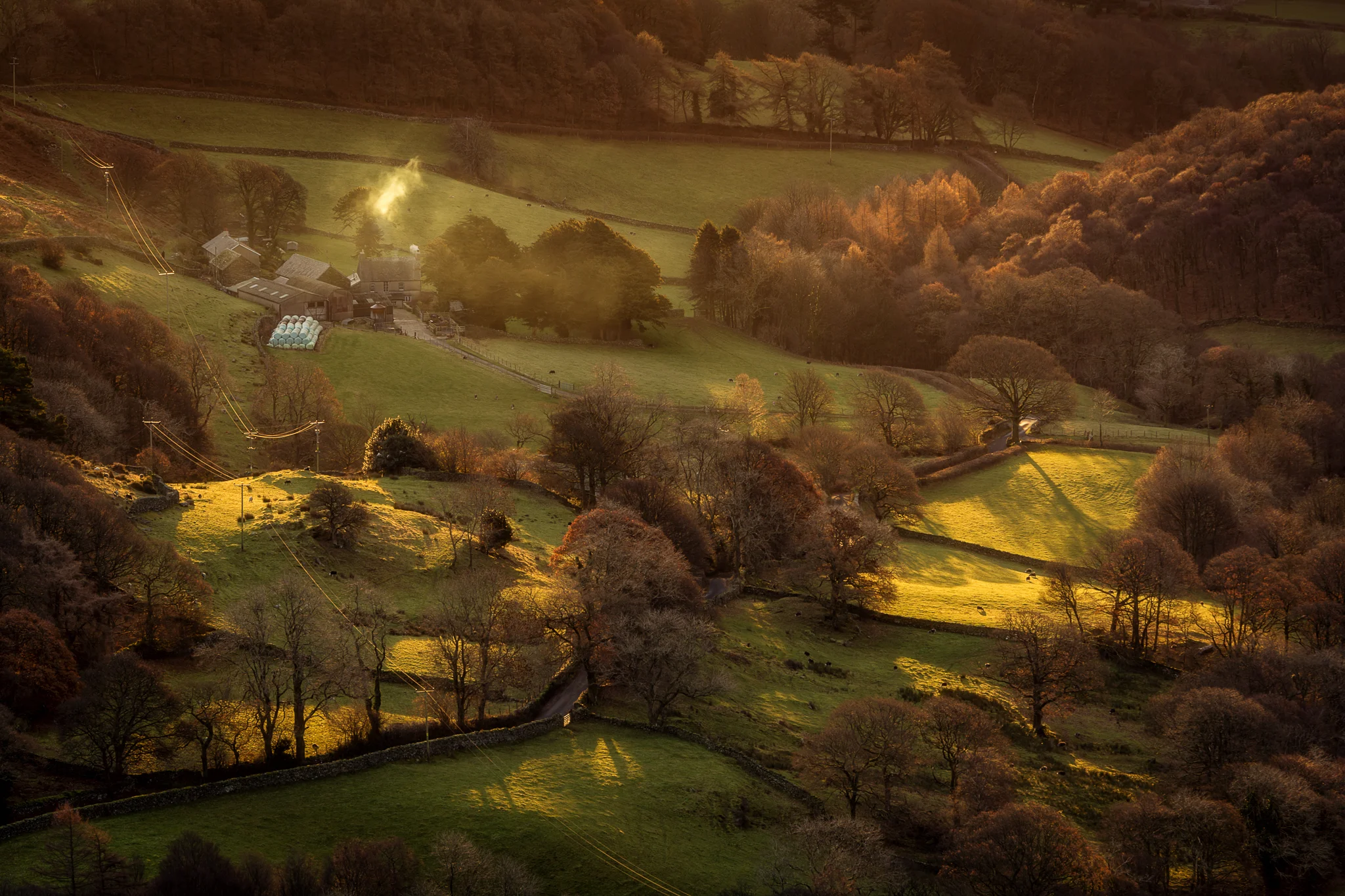 Early Morning Warmth