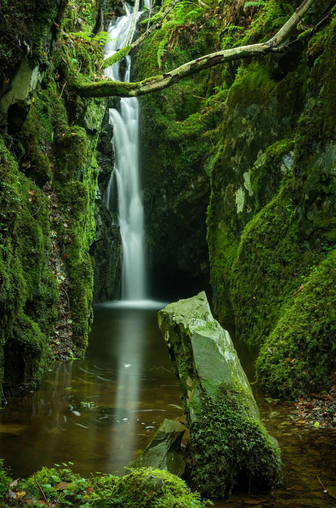 Hidden Oasis