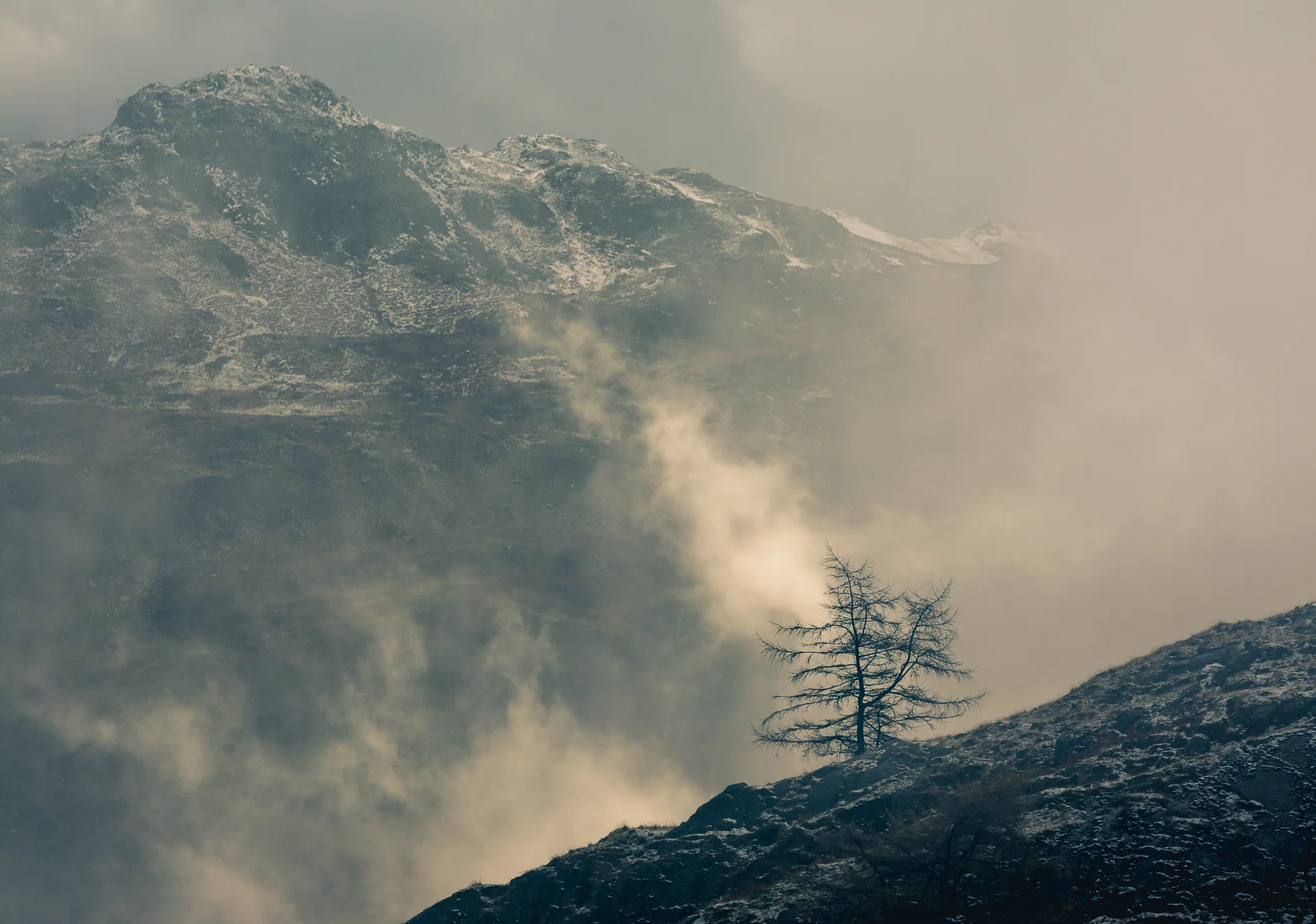 A Mountain and a Tree