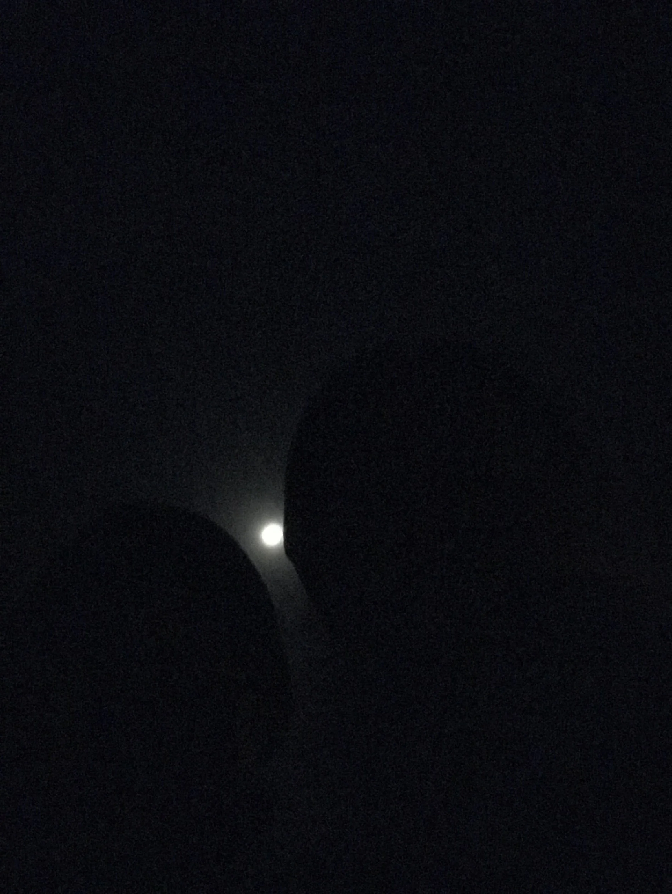 A selfie taken with the moon