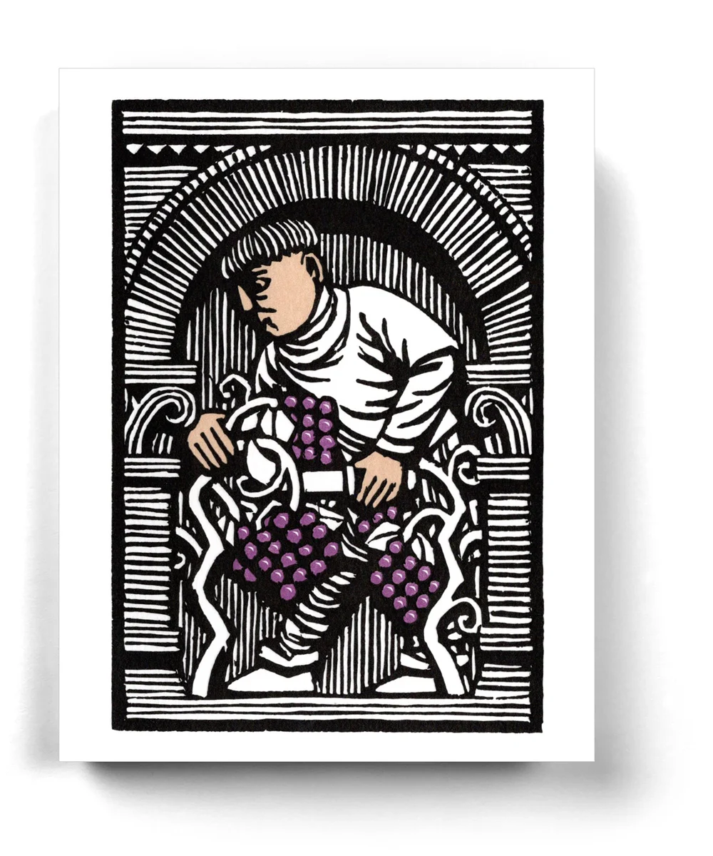 growing-grapes.jpg