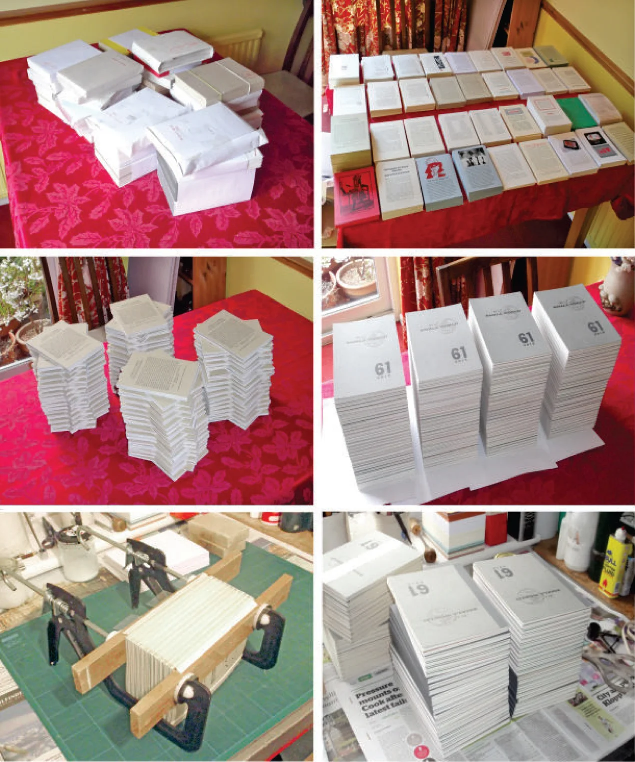 binding-iasw-from-fossil.jpg