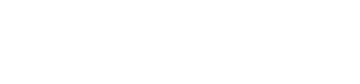 MATIZZ