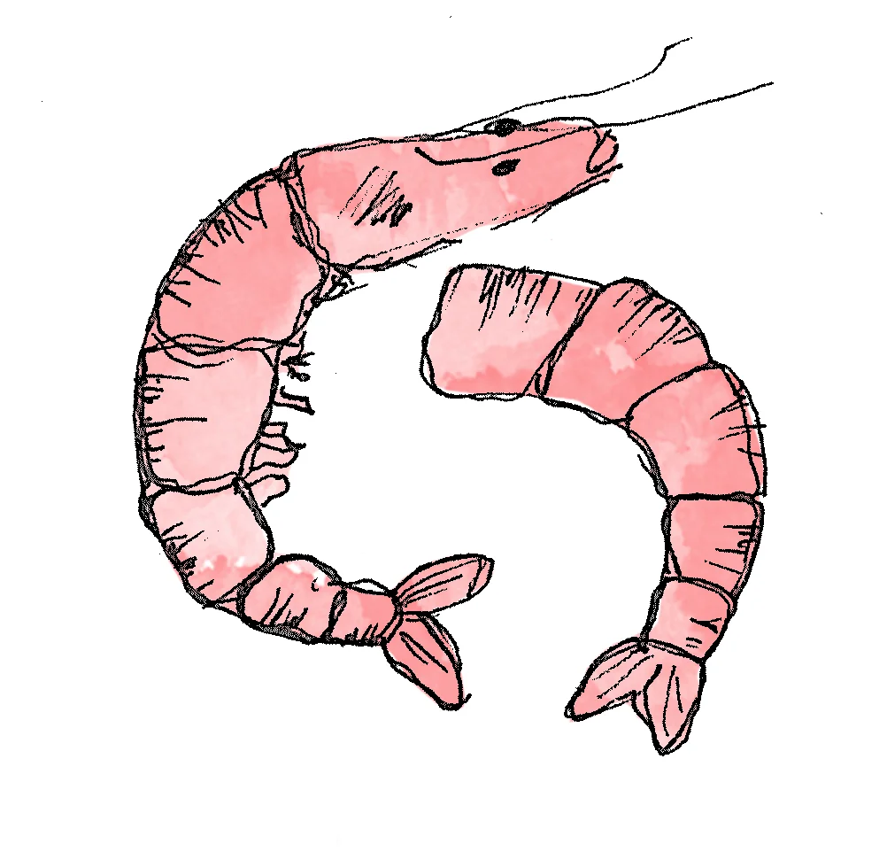 Prawns.jpg