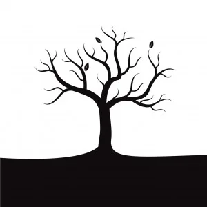 dead-tree_ml-300x300-1-1.jpg