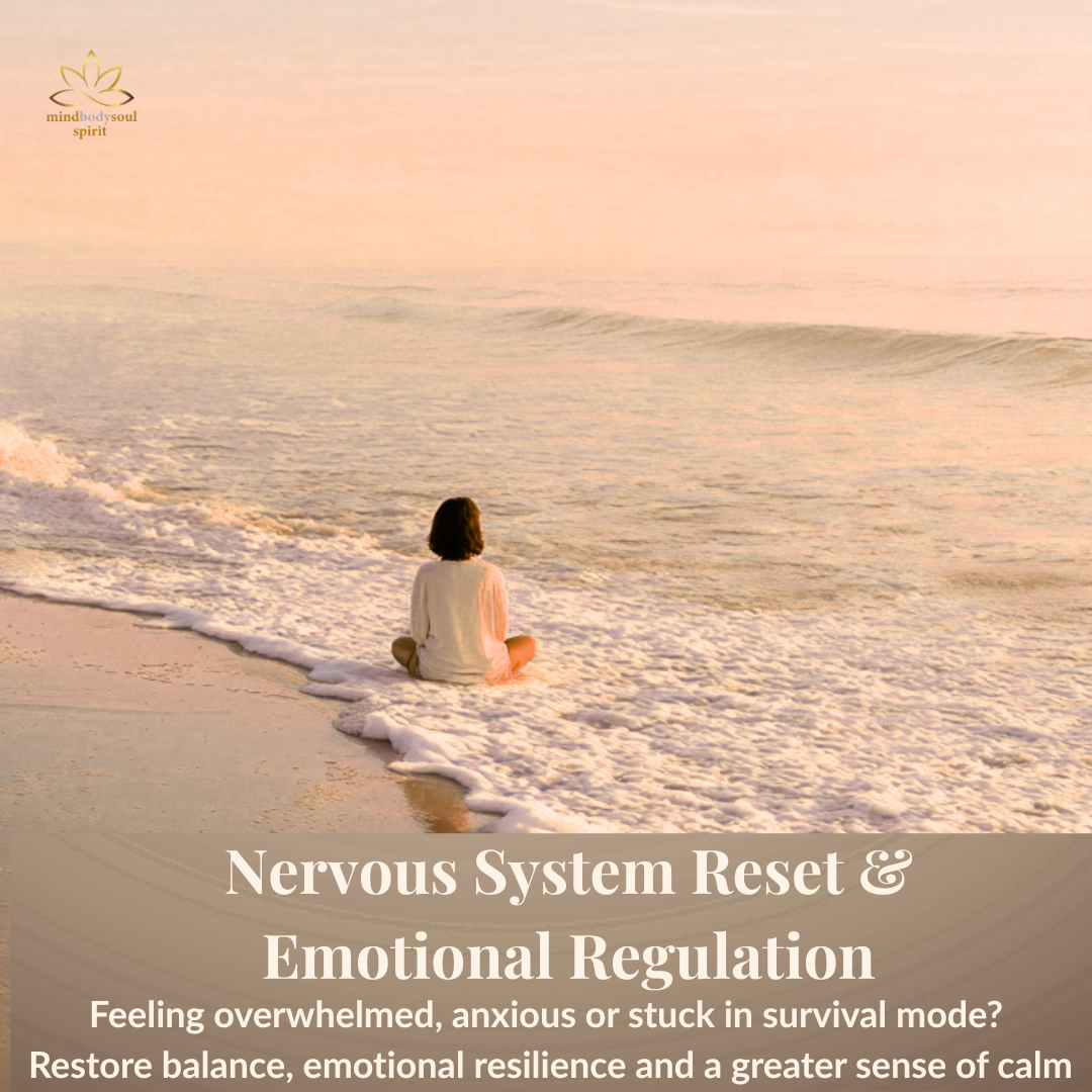 Nervous System Reset &amp; Emotional Regulation