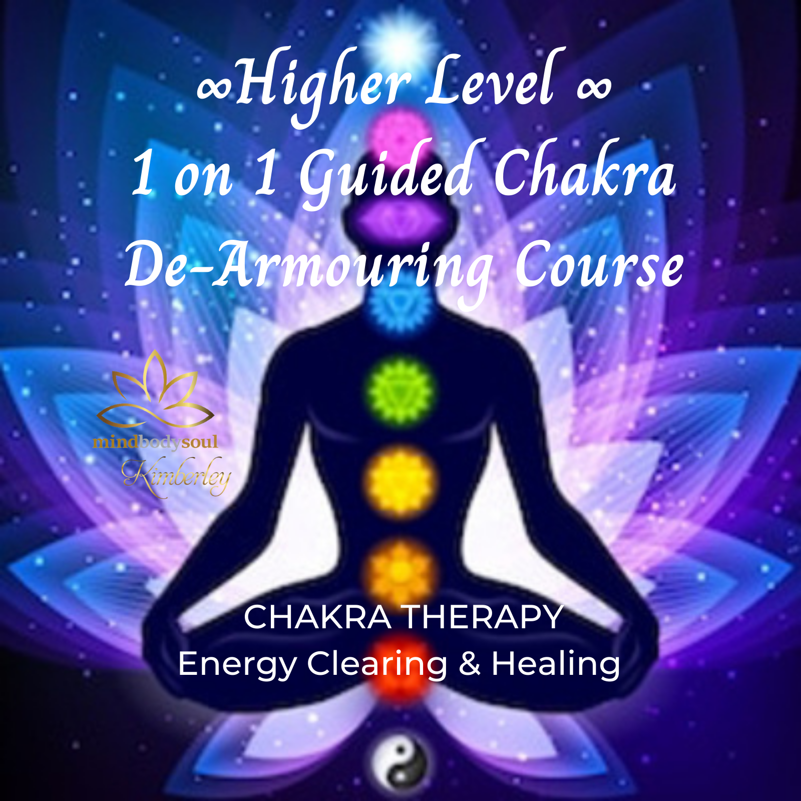 High Level Chakra De-Armouring Course