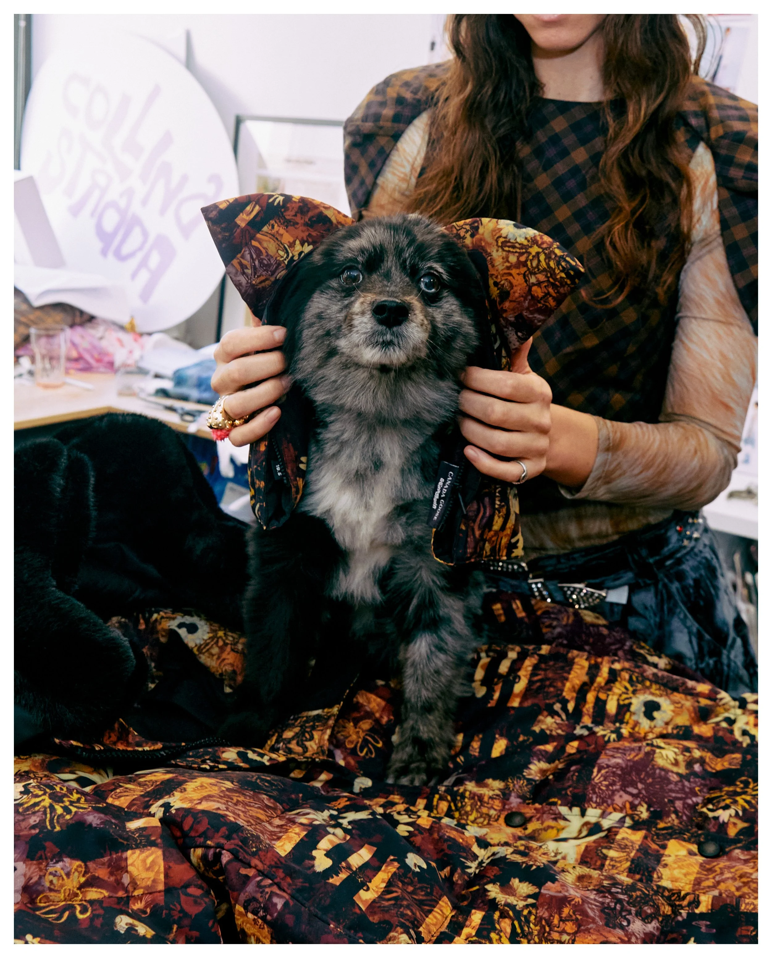 _2023.11.9-COLLINA STRADA X CANADA GOOSE-2023.11.9-COLLINA STRADA X CANADA GOOSE1006.JPG