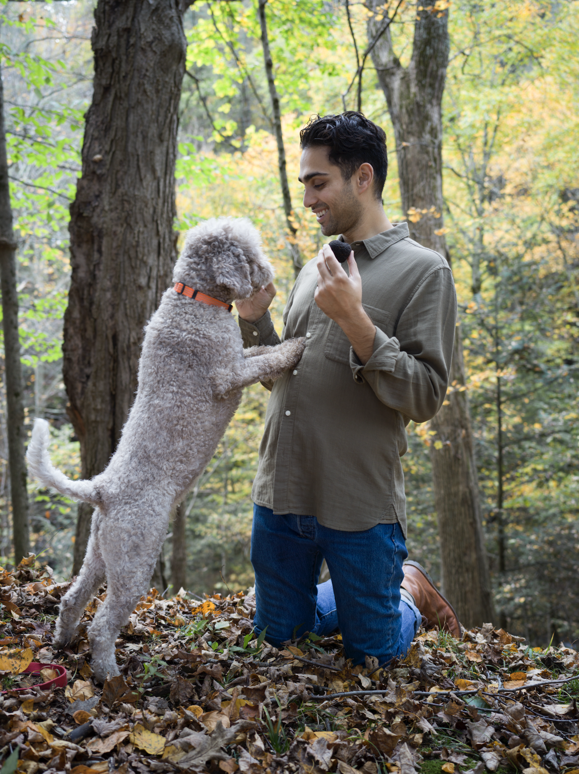 Screen Shot 2022-04-30 at 5.57.37 PM.png