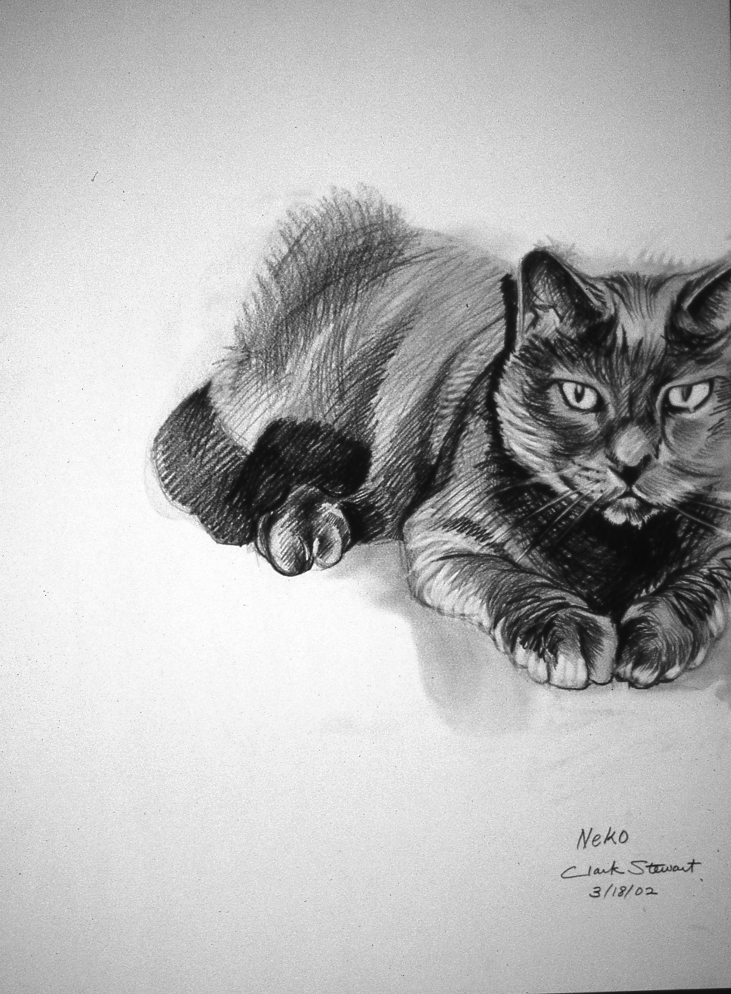 Neko