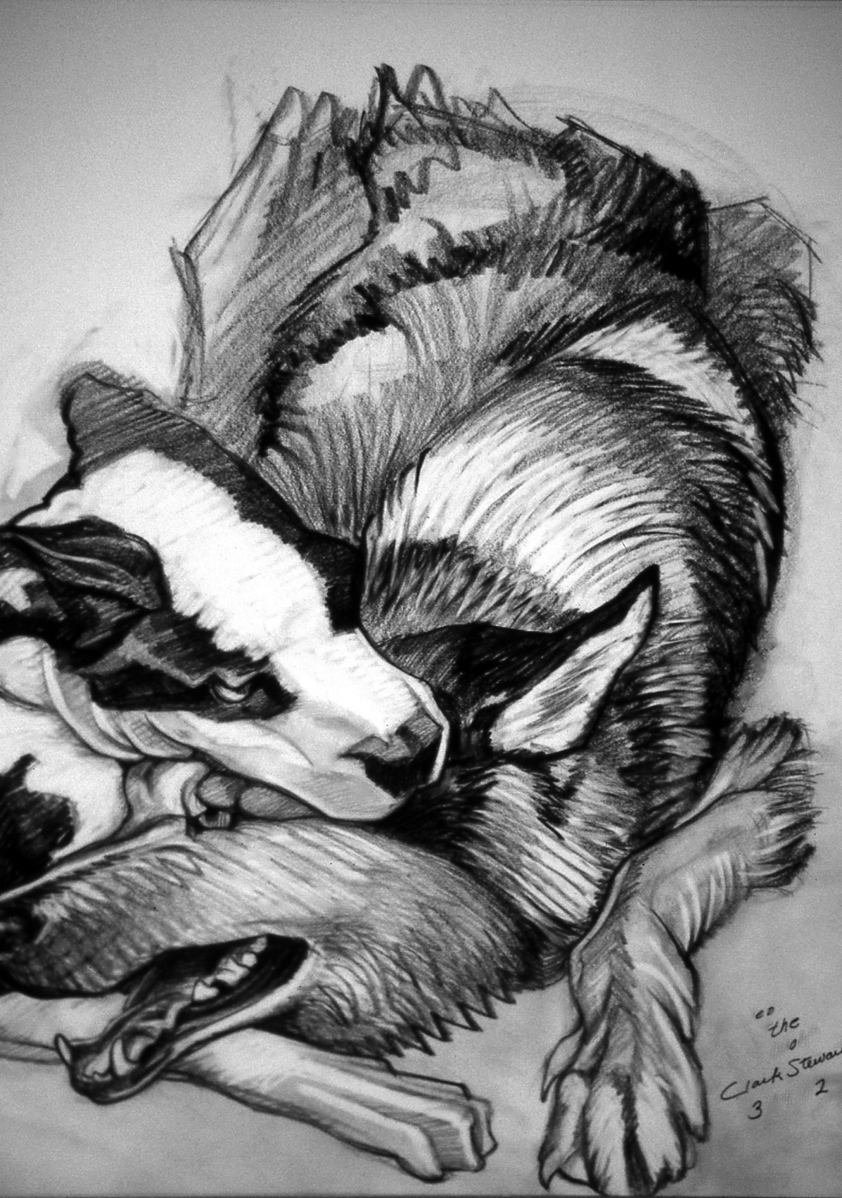 Cleo and the Wolf