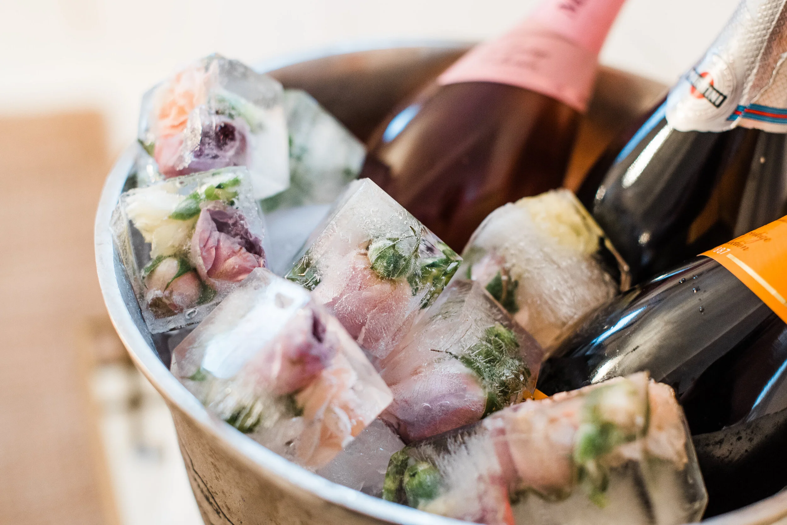 Final-0203.jpg