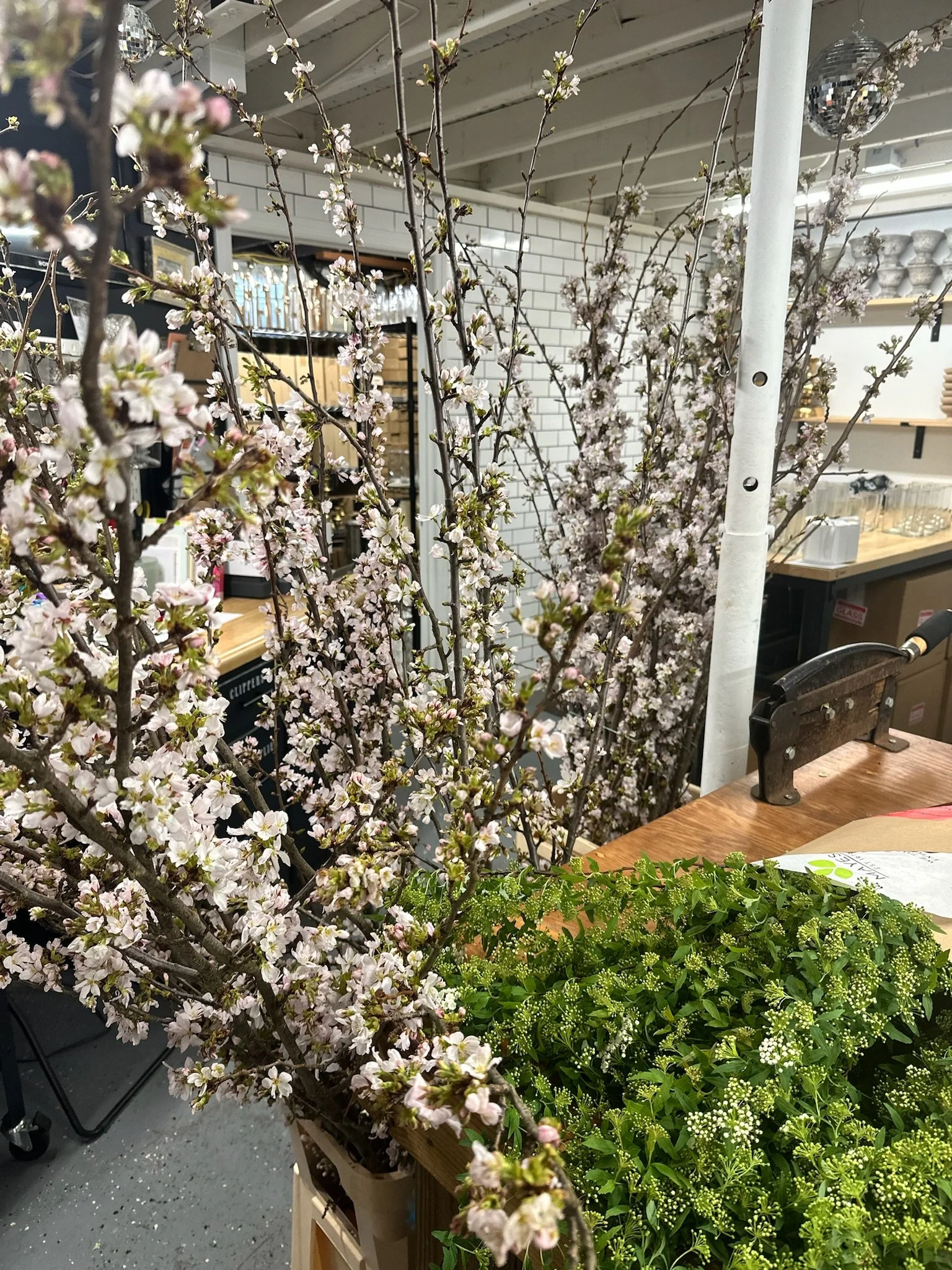 Guide to Blooming Branches