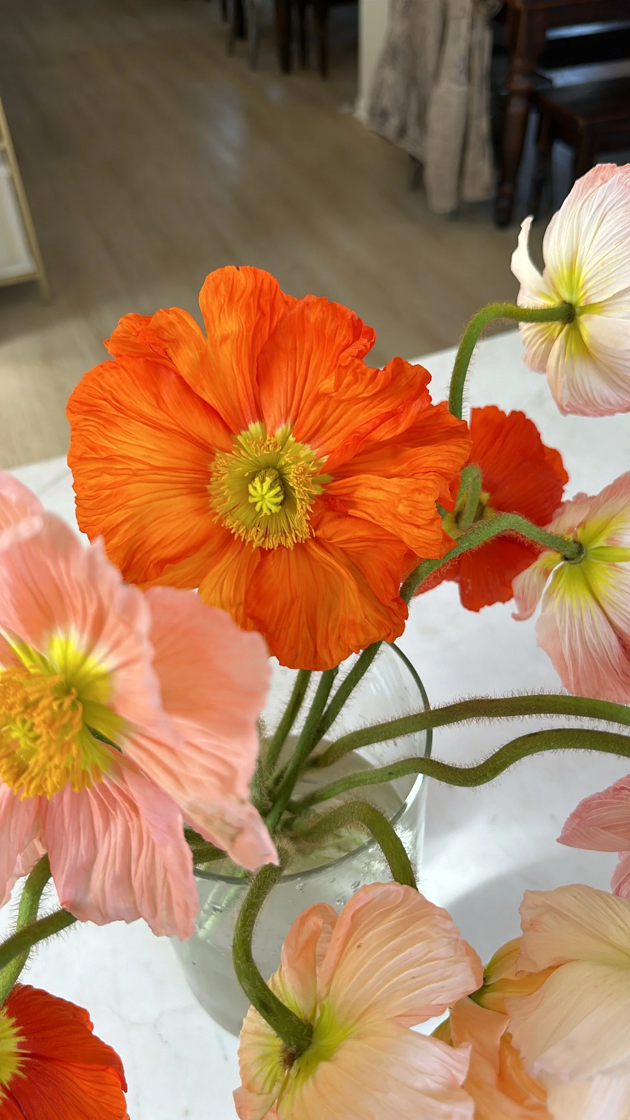 Our Favorite Flowers for Spring Weddings 