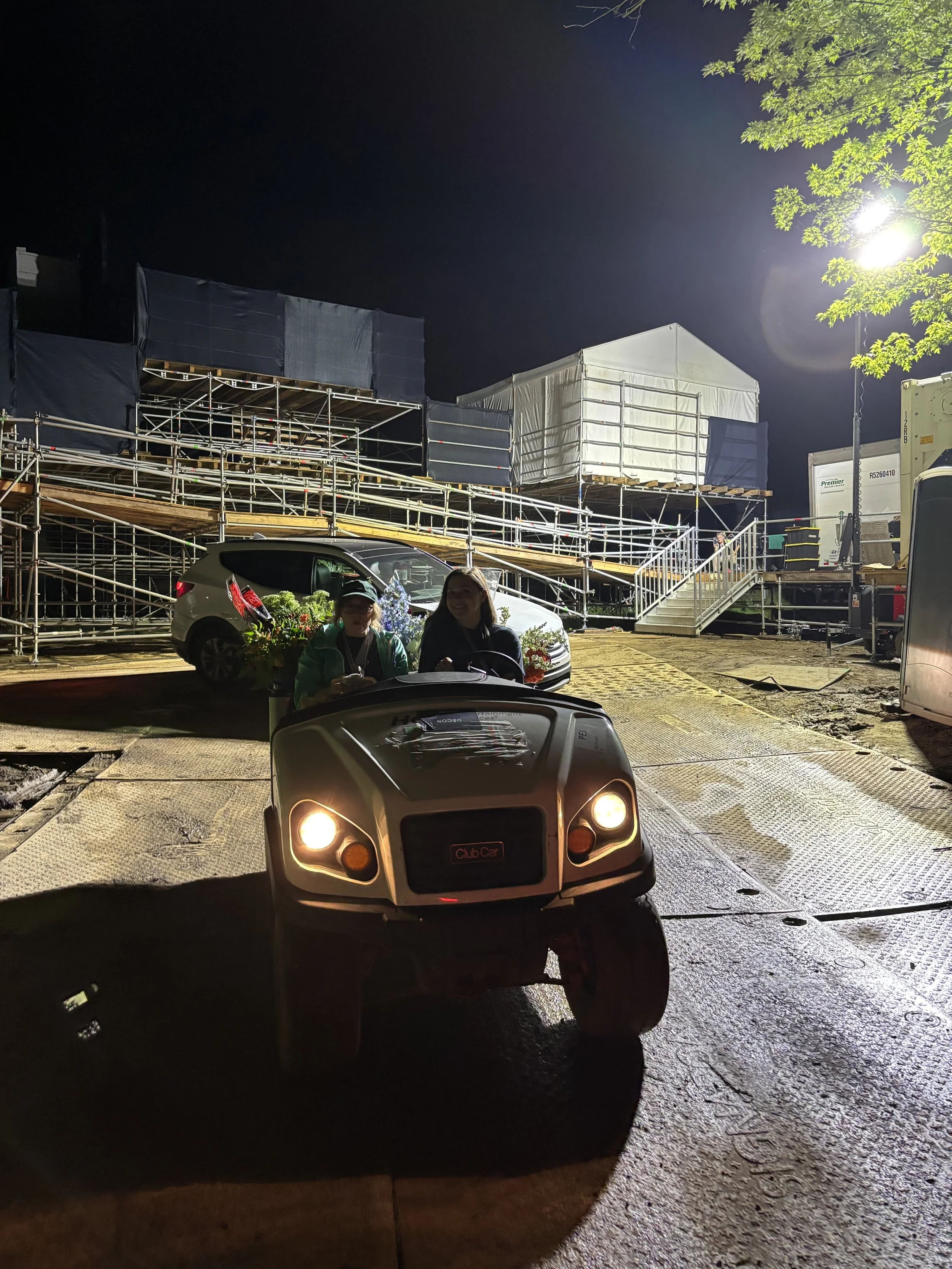 night golf cart.jpg