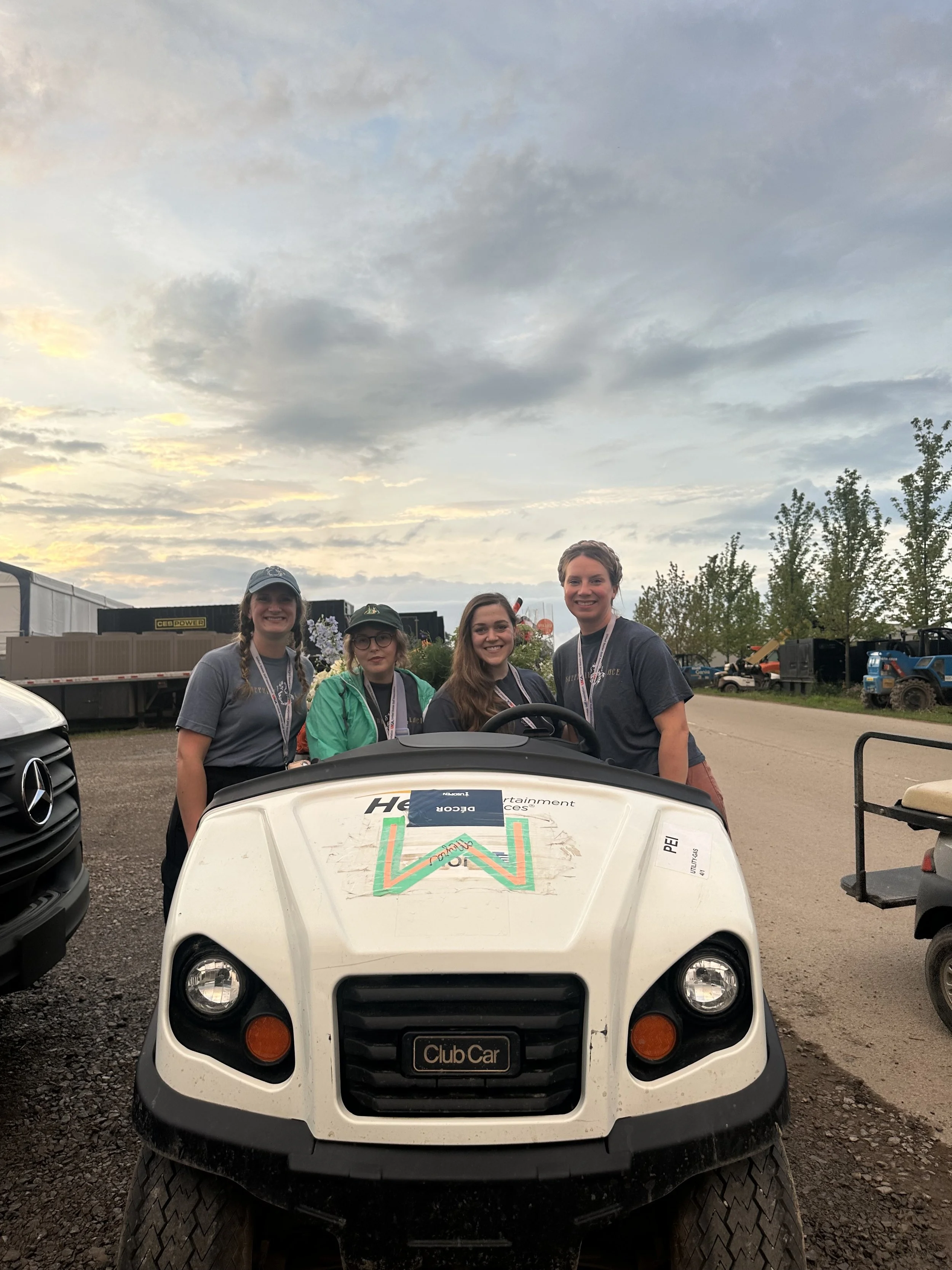 golf cart pic.jpg