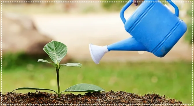 watering.jpg