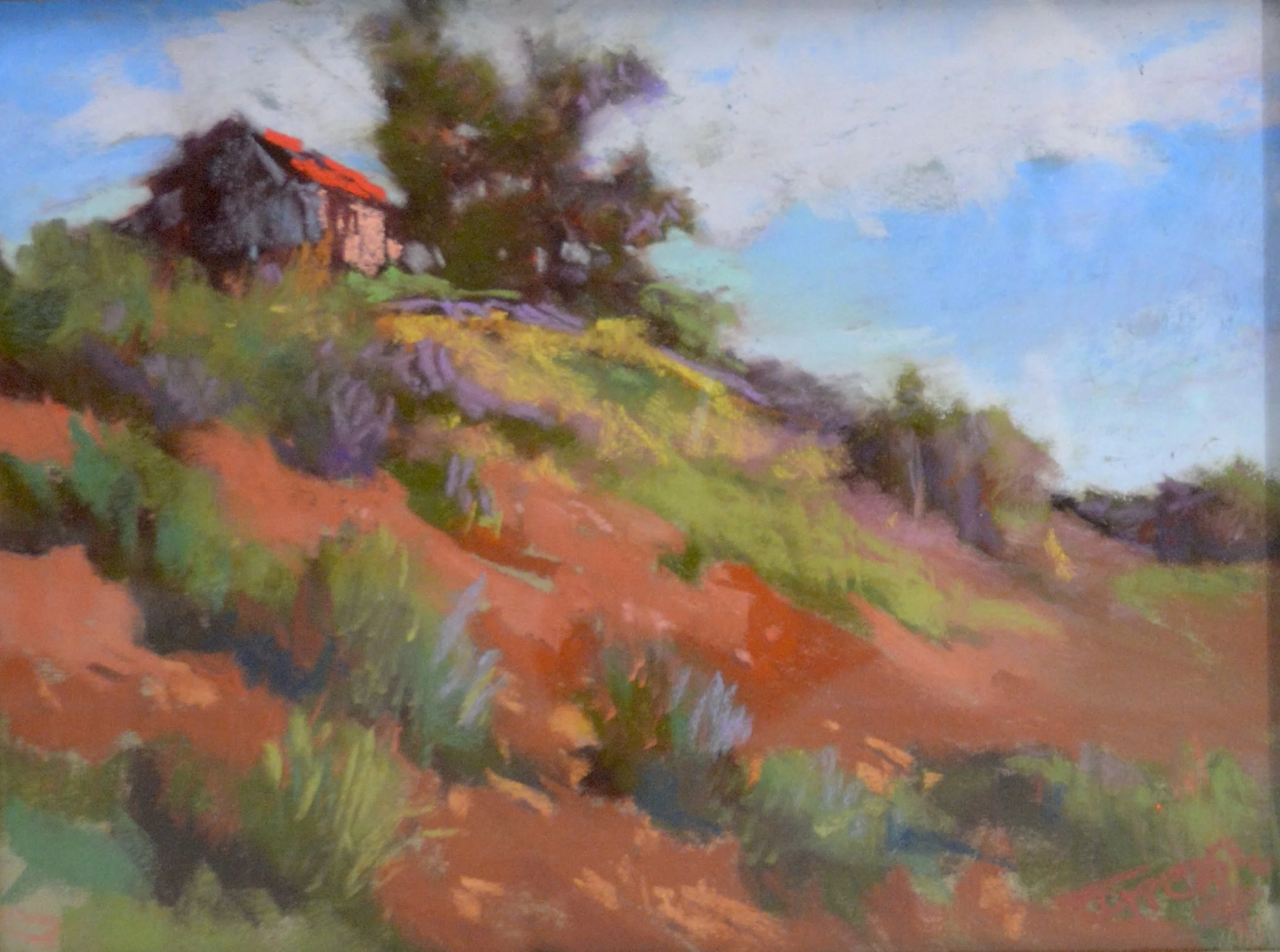 Afternoon Light   9 x 12  Pastel.  $200