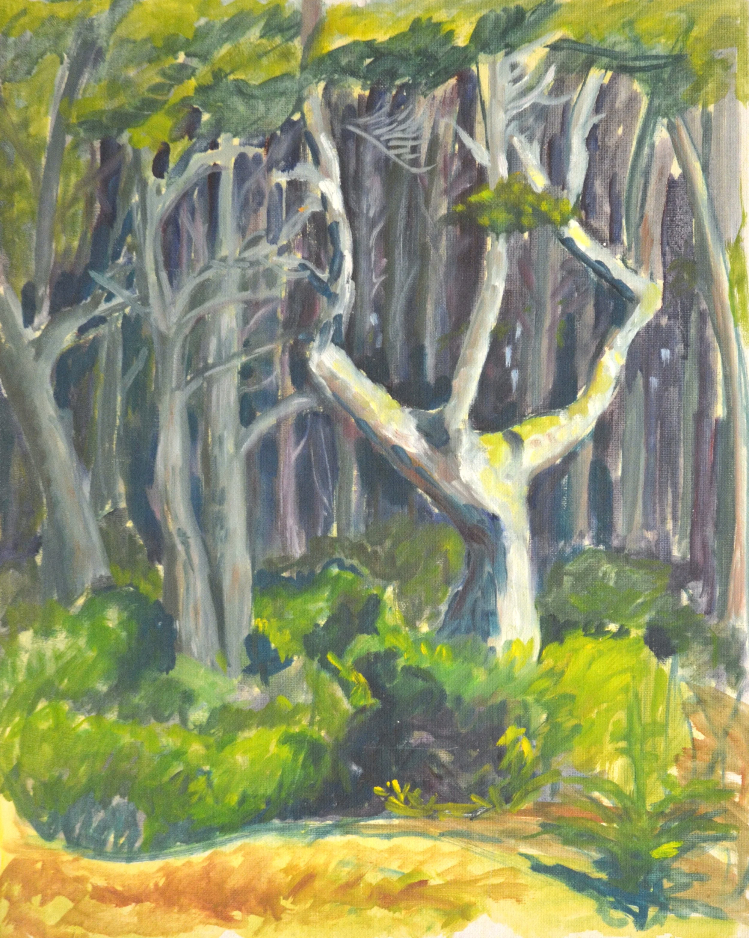 Jean’s Trees 20 X 16   Oil. $550