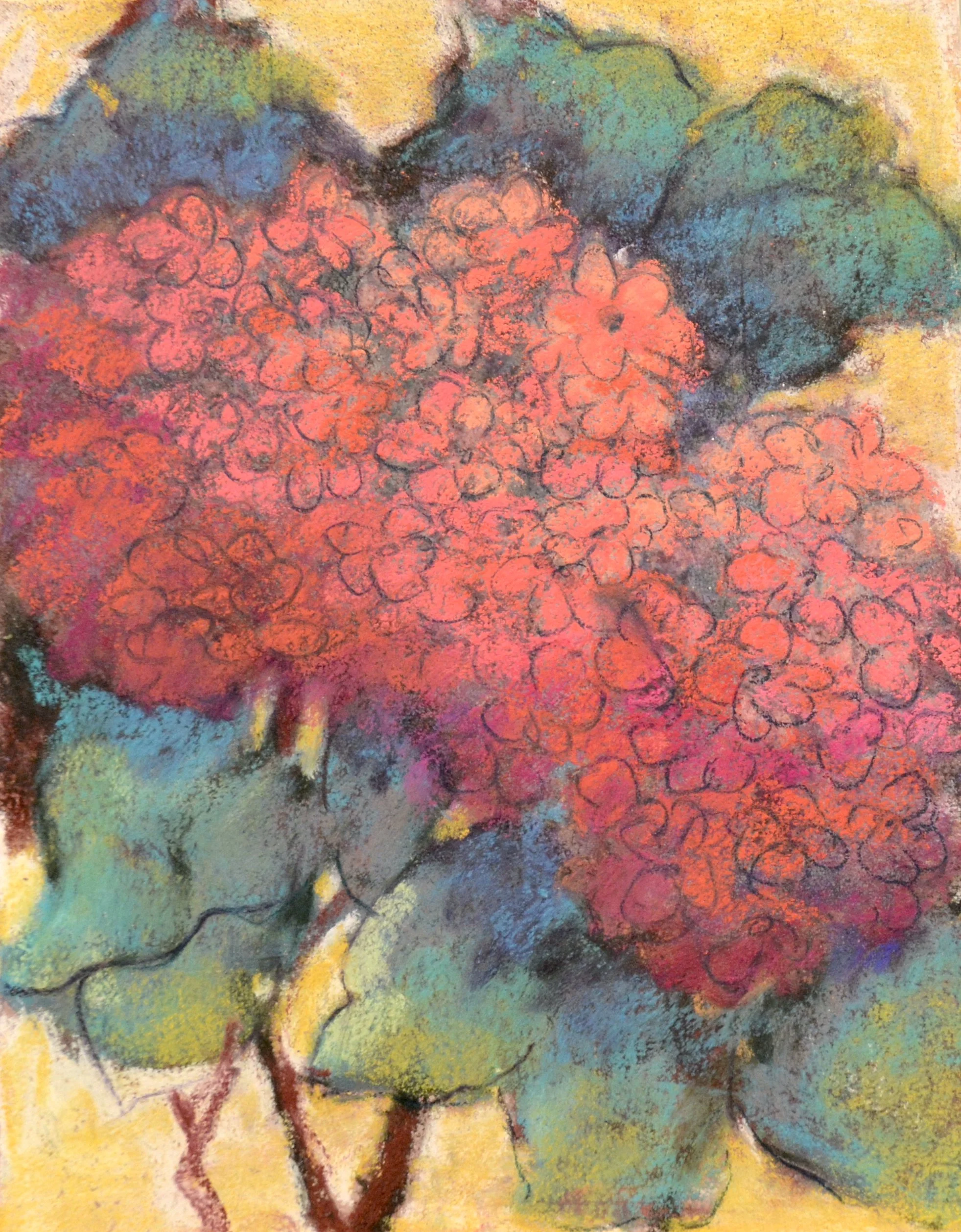 “Hydrangeas”  Pastel  9 X 12.  $200