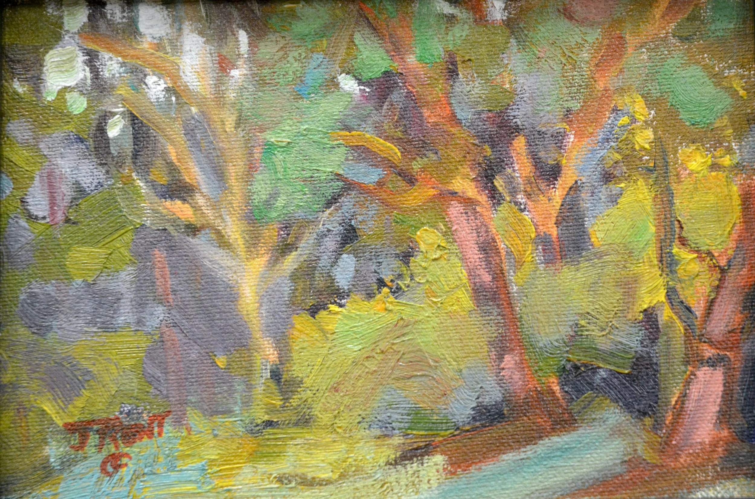 Grove of Trees. 5 x 7. Oil. $75.00