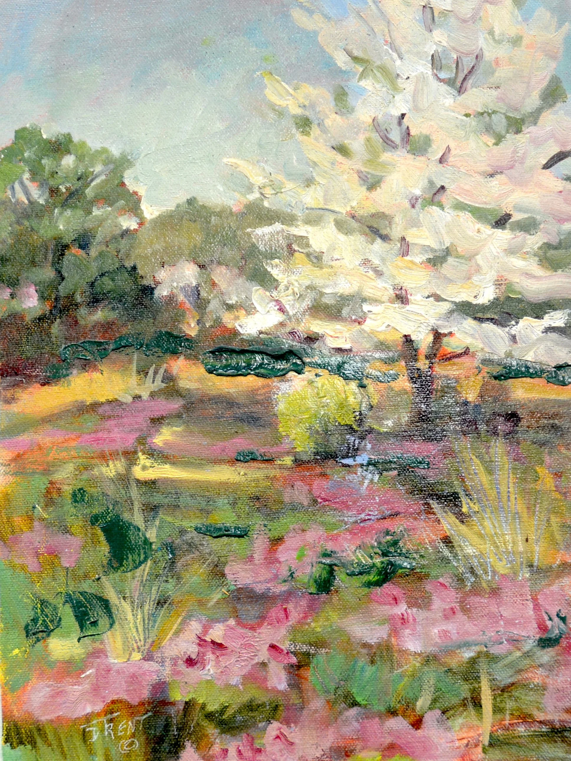 Jo’s Cherry Tree. 10 x 14. Oil. $300.00