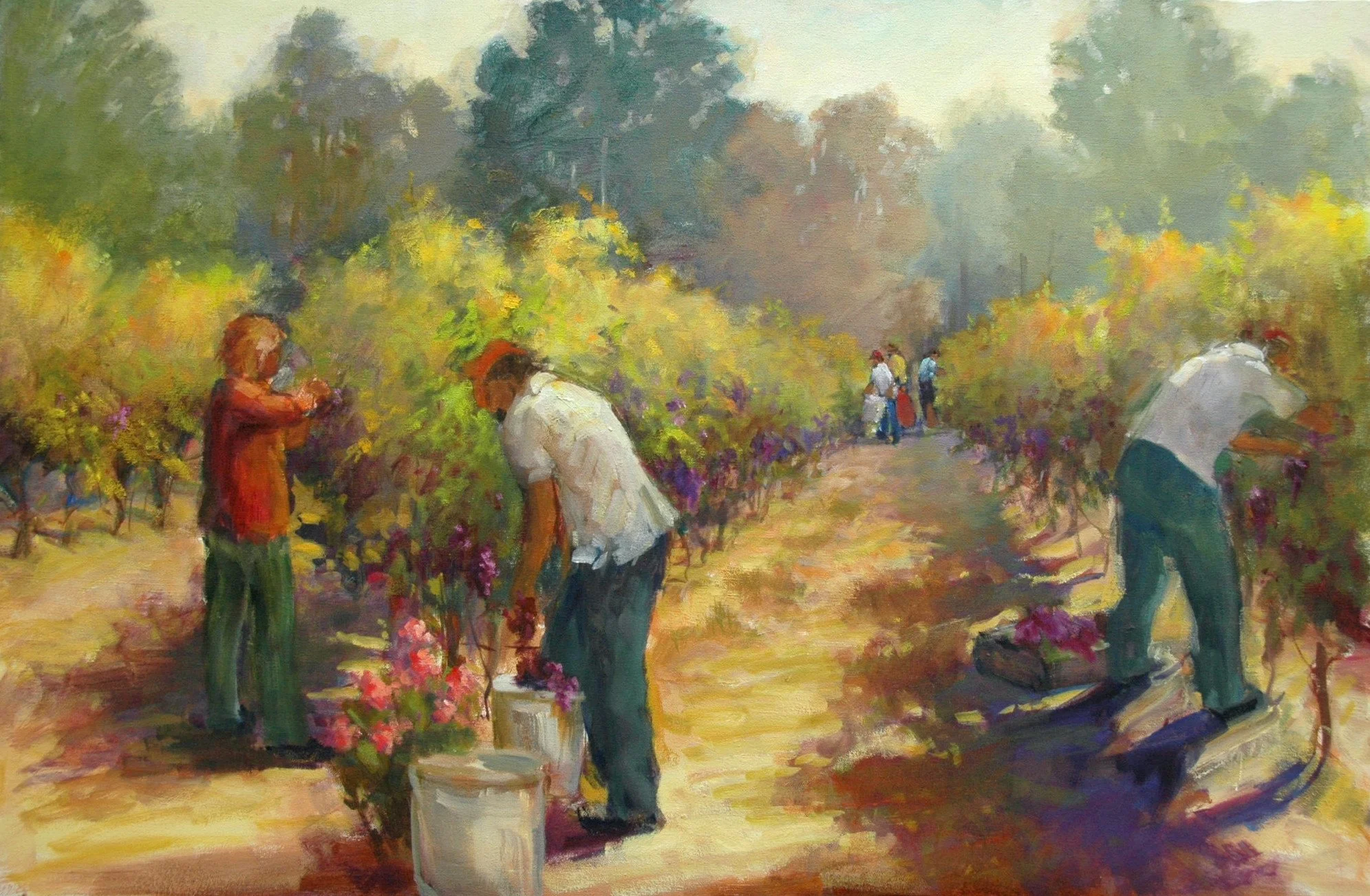 Vineyard in Sanoma    Oil