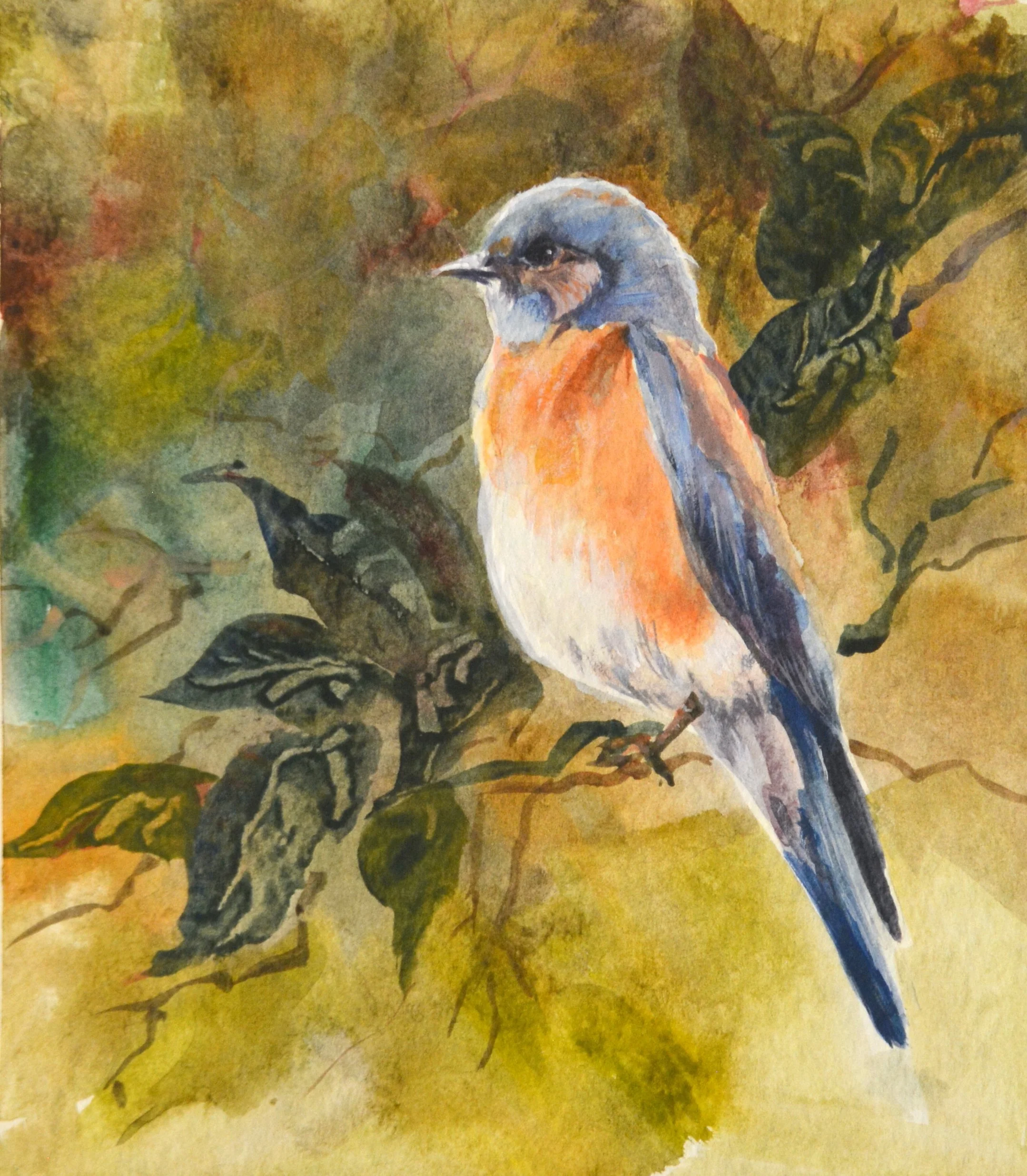 Blue Bird.   Acrylic