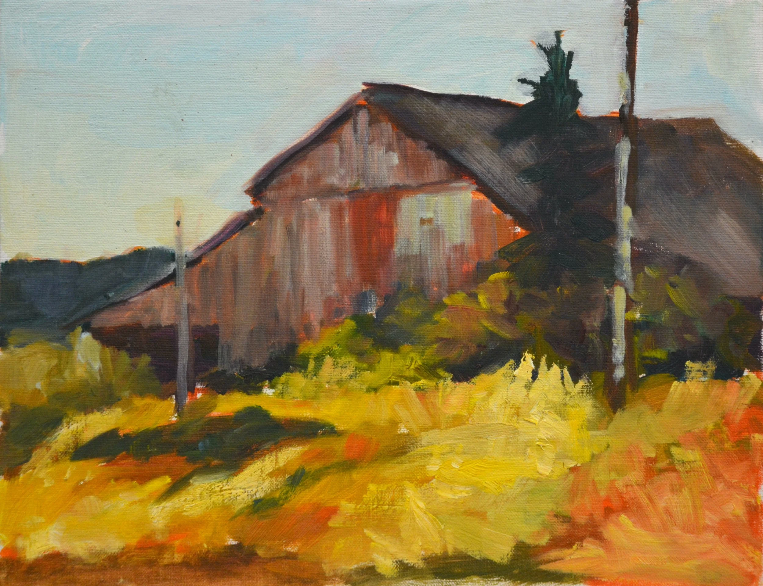 1215_Overgrown Barn.JPG