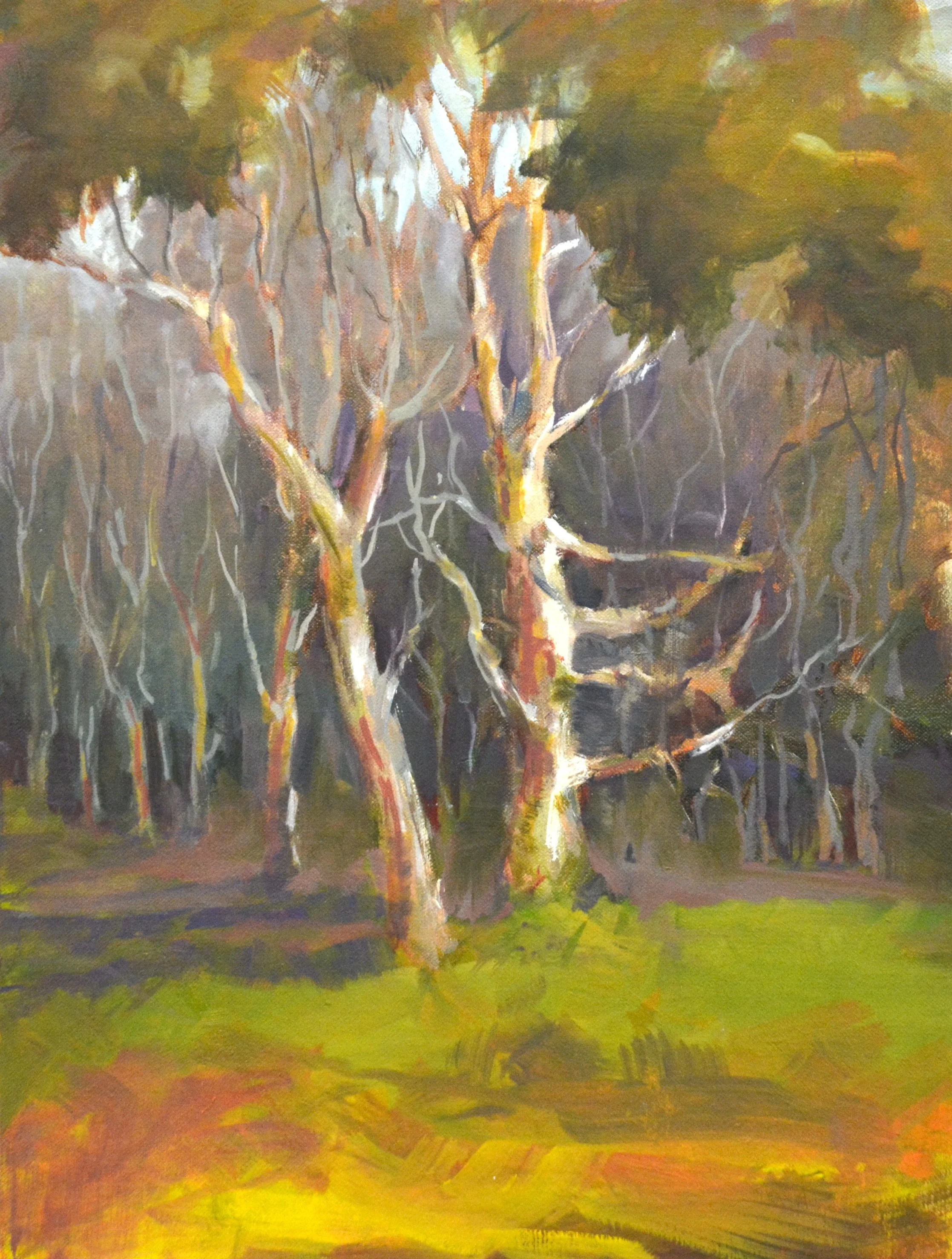 Light on the Trees     Oil