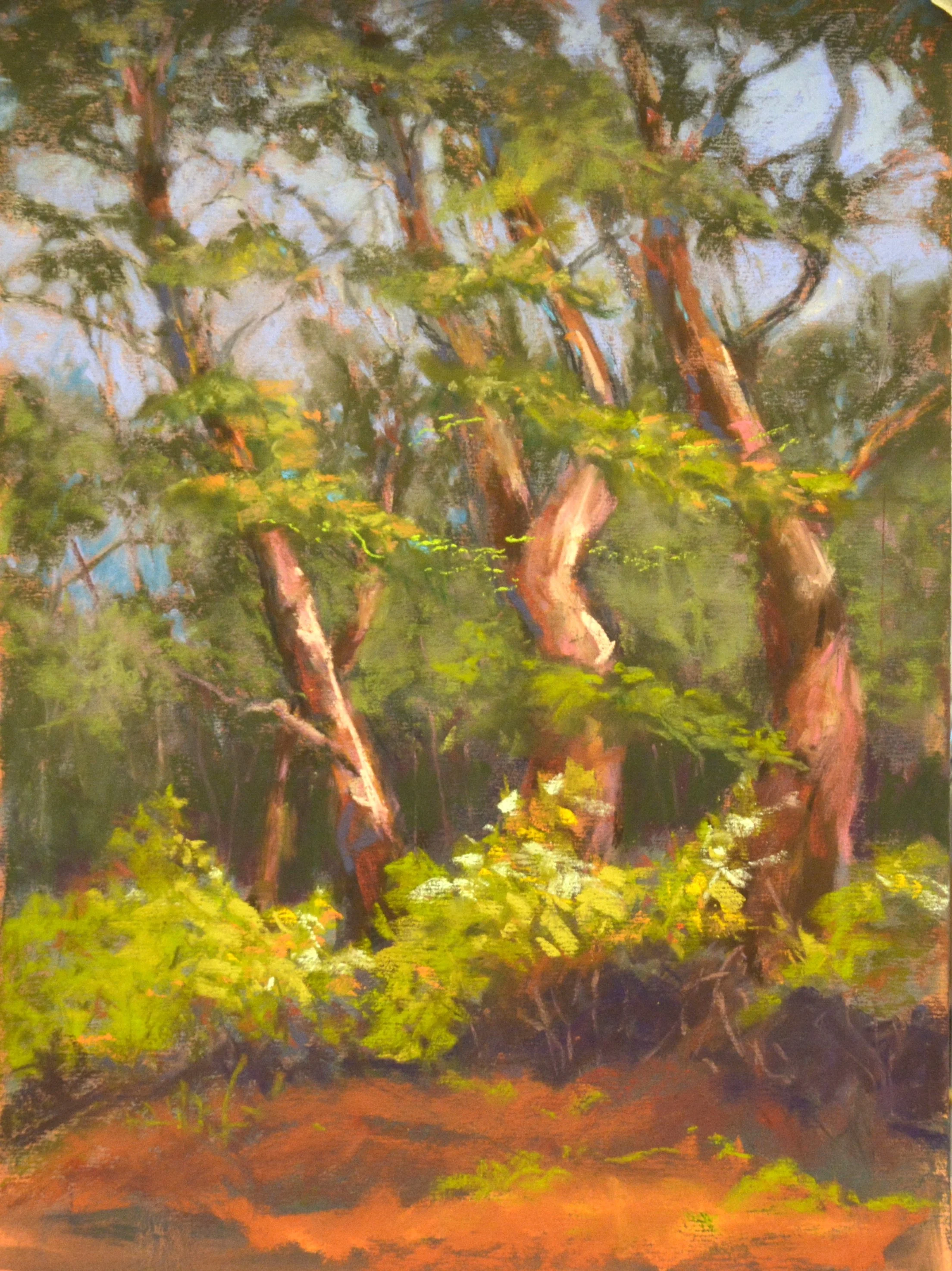 Bent Trees.      Pastel