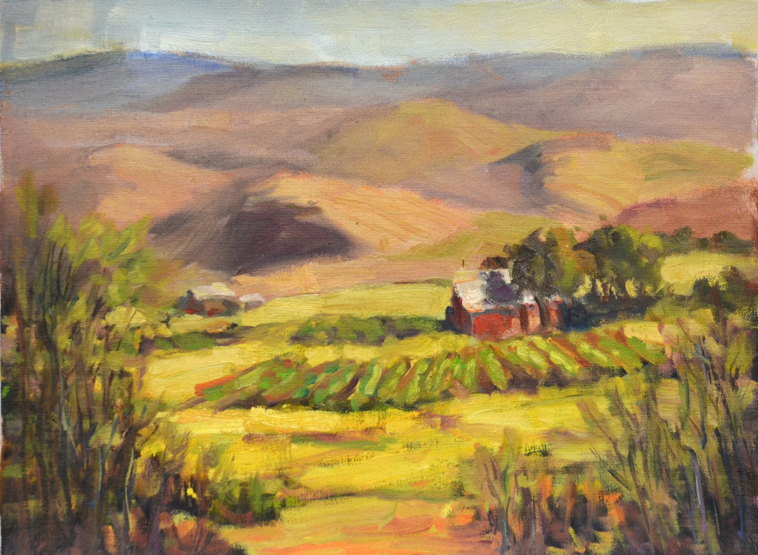 Eastern Washington Vineyard.    Oil