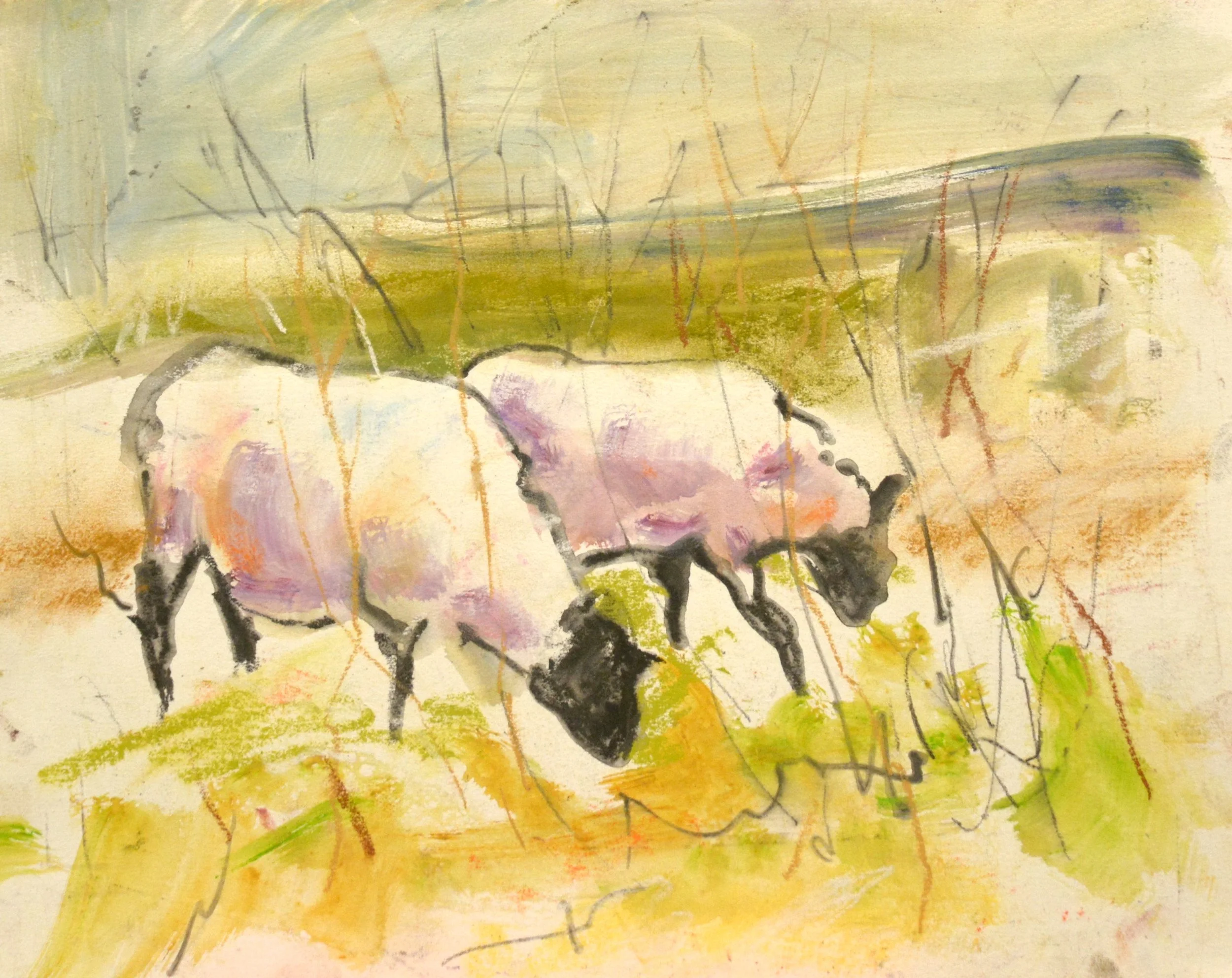Black Faced Sheep.             Pastel and some oil