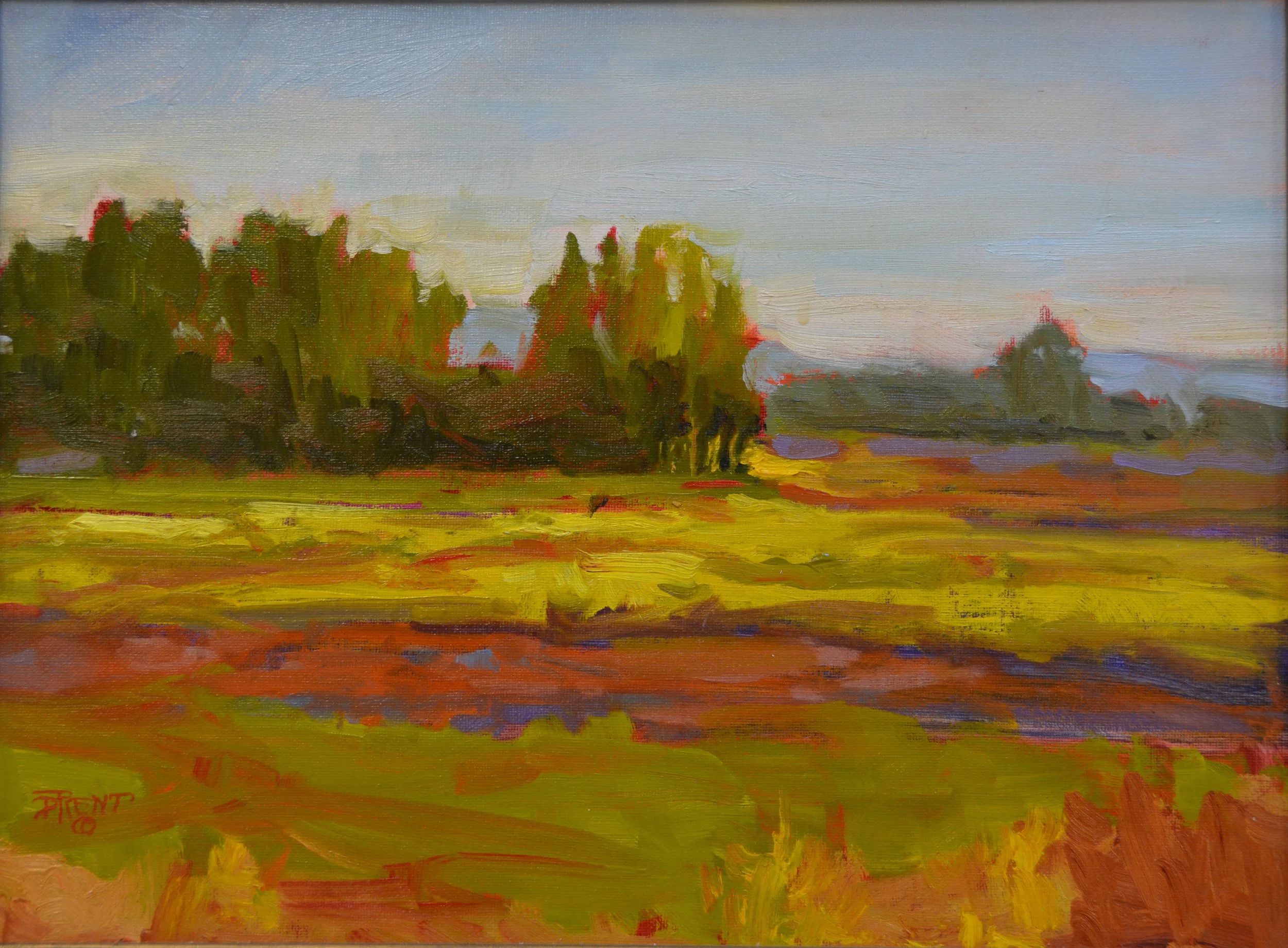 Copse Across the Field.   Oil