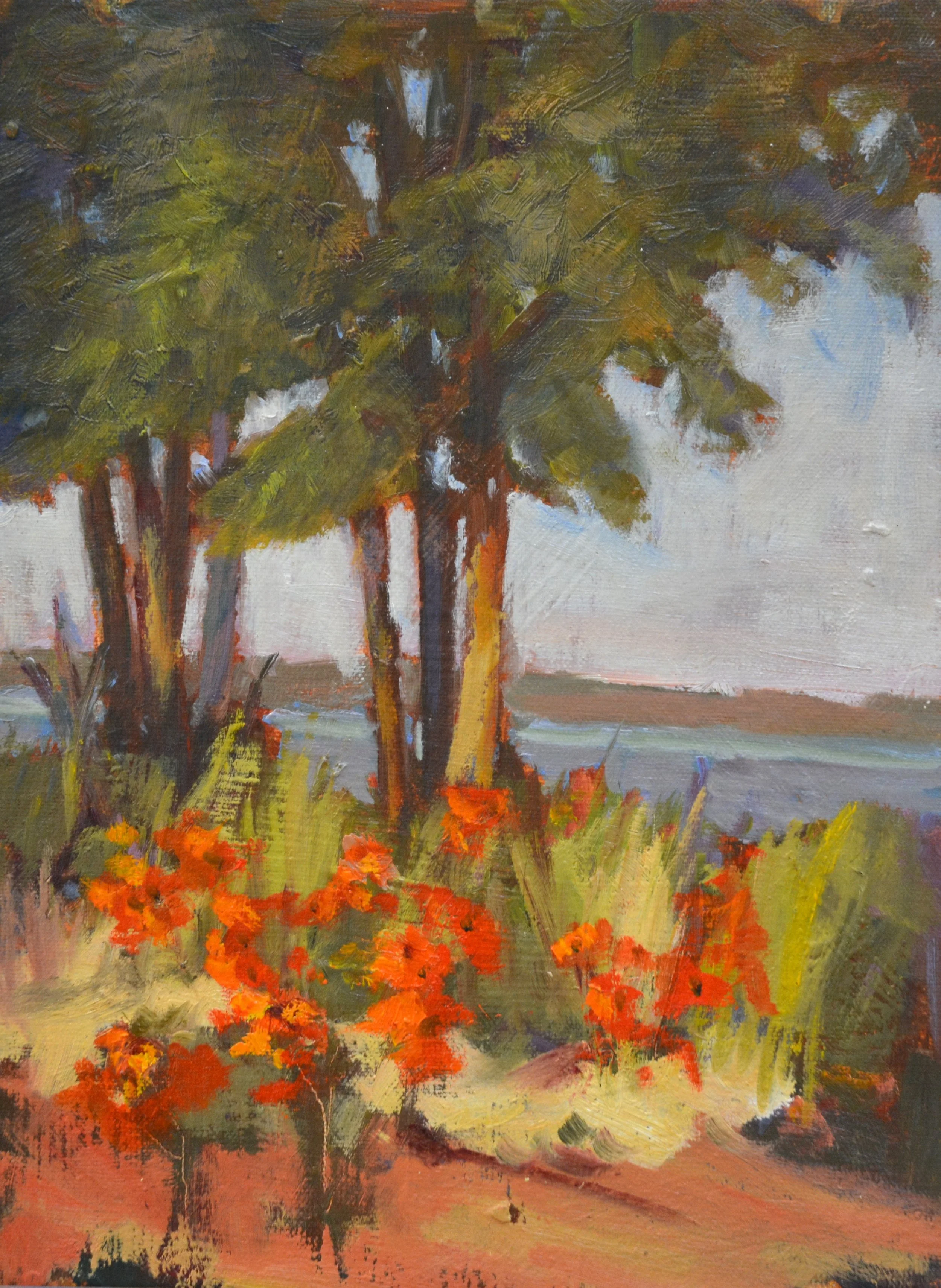 Front Yard Poppies.     Oil