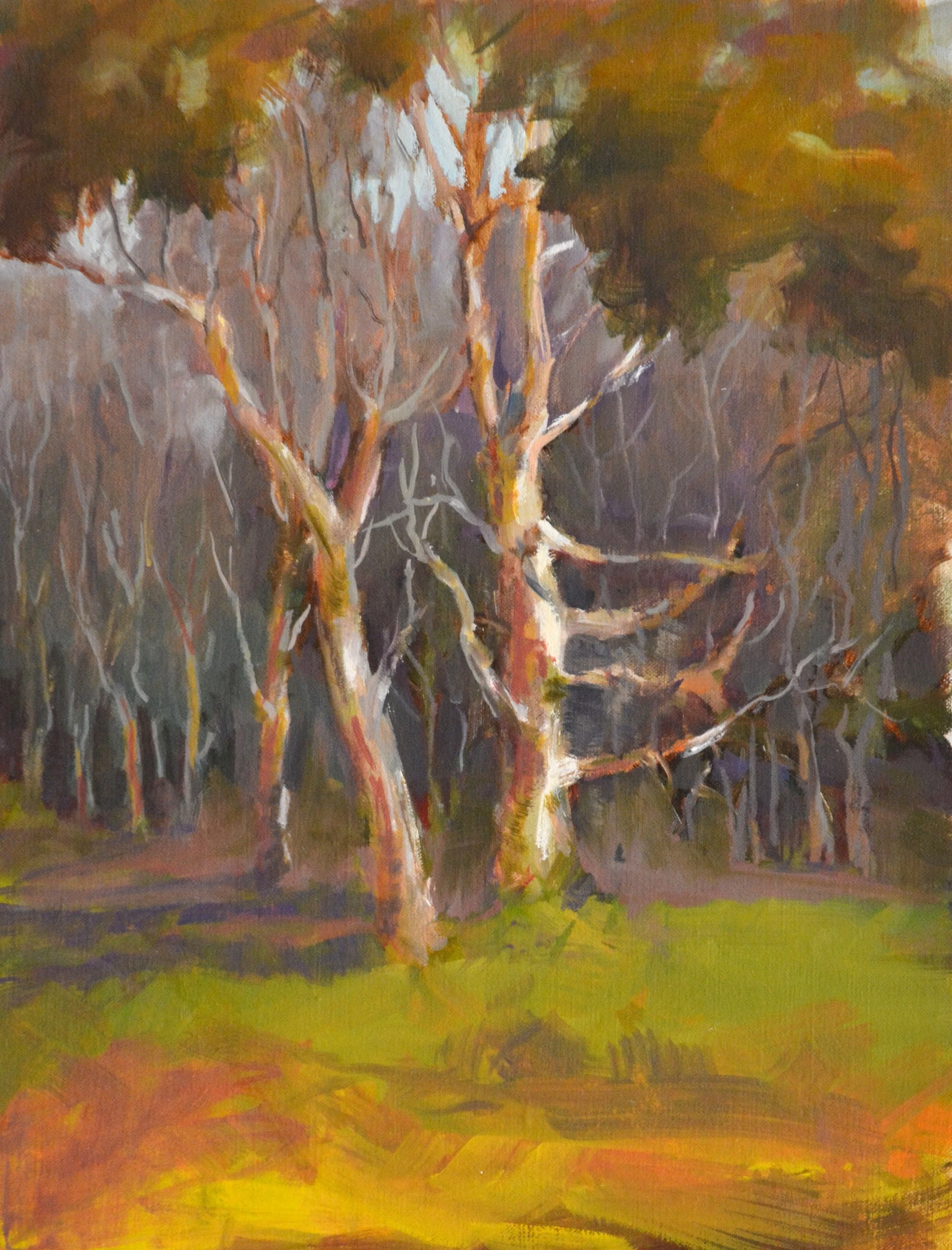 Gnarled Trees.        Oil